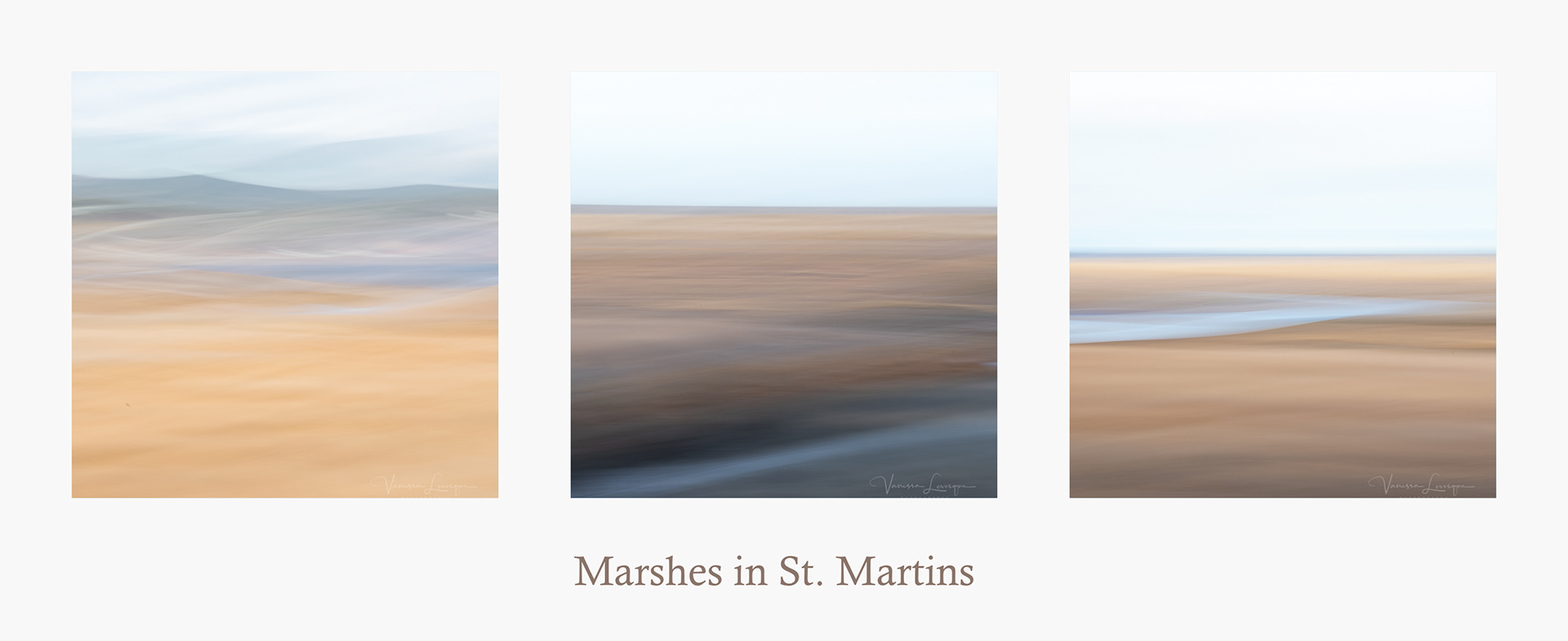 Marshes in St. Martins