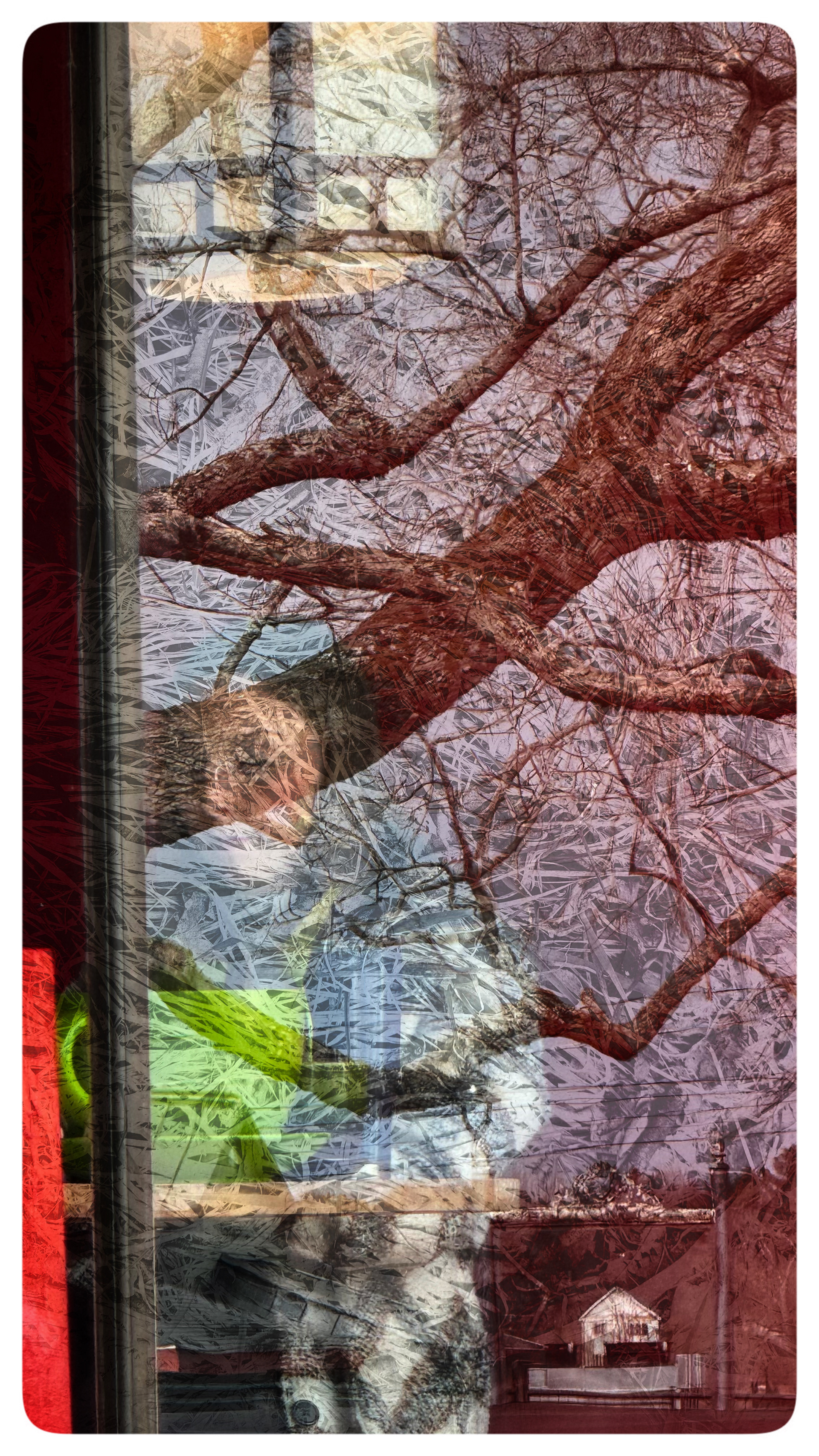 Urban Reflections