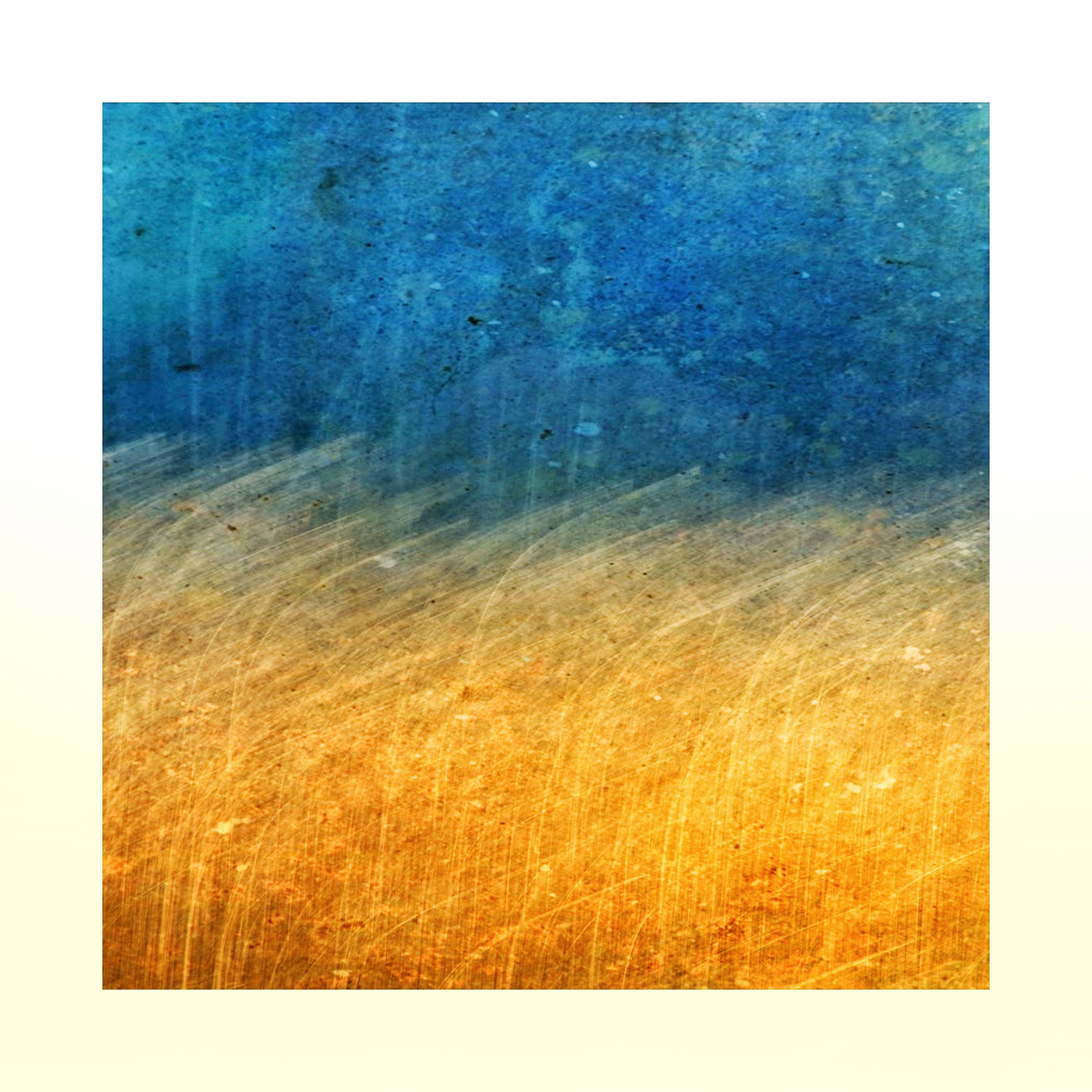 Fall Grass 1