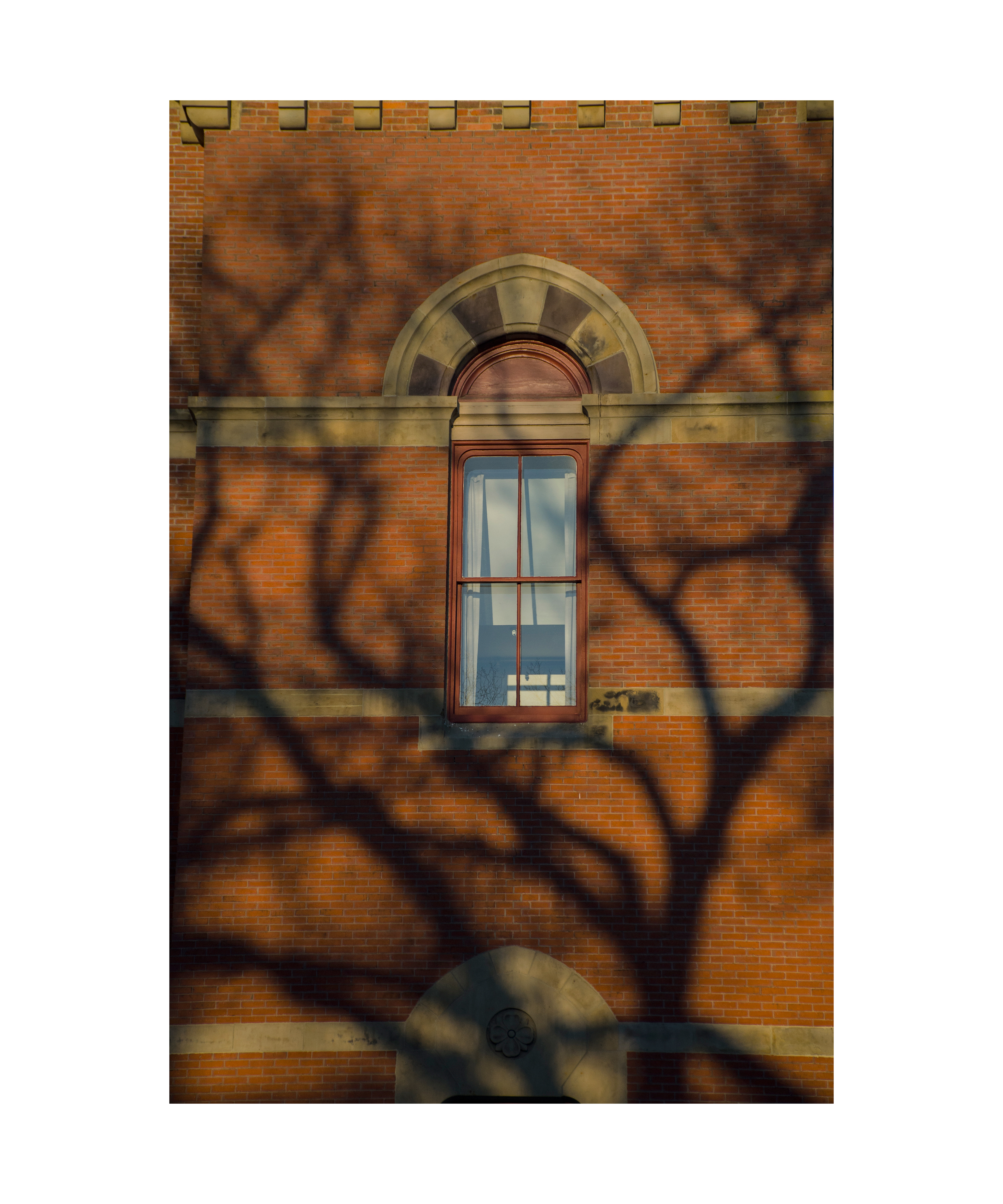 F'ton Public Library Artist Gallery 2019