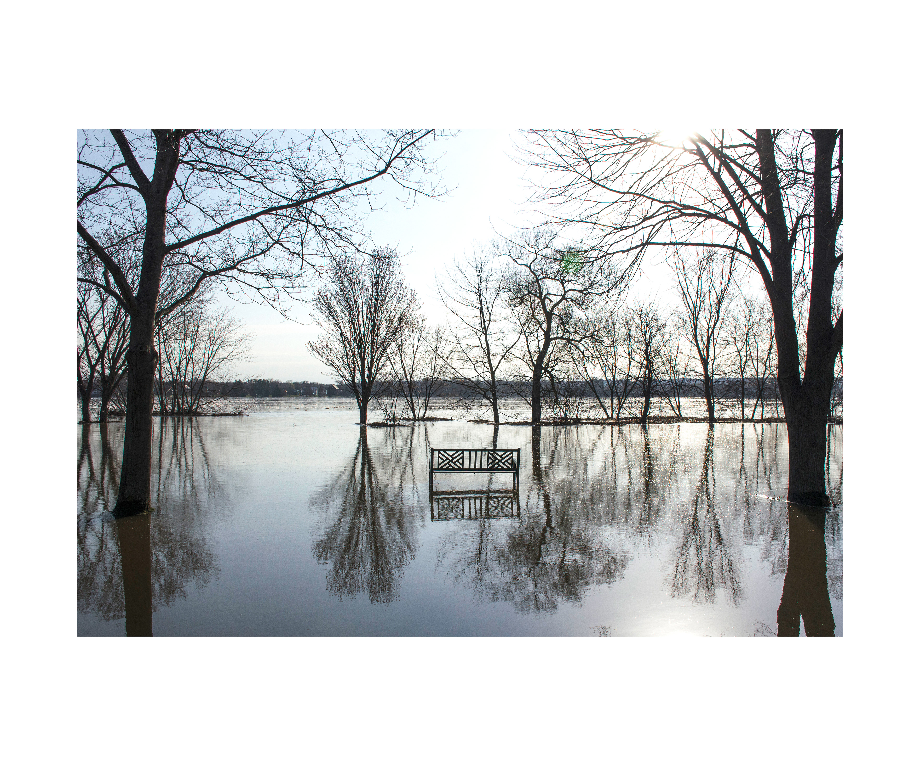 F'ton Public Library Artist Gallery 2019