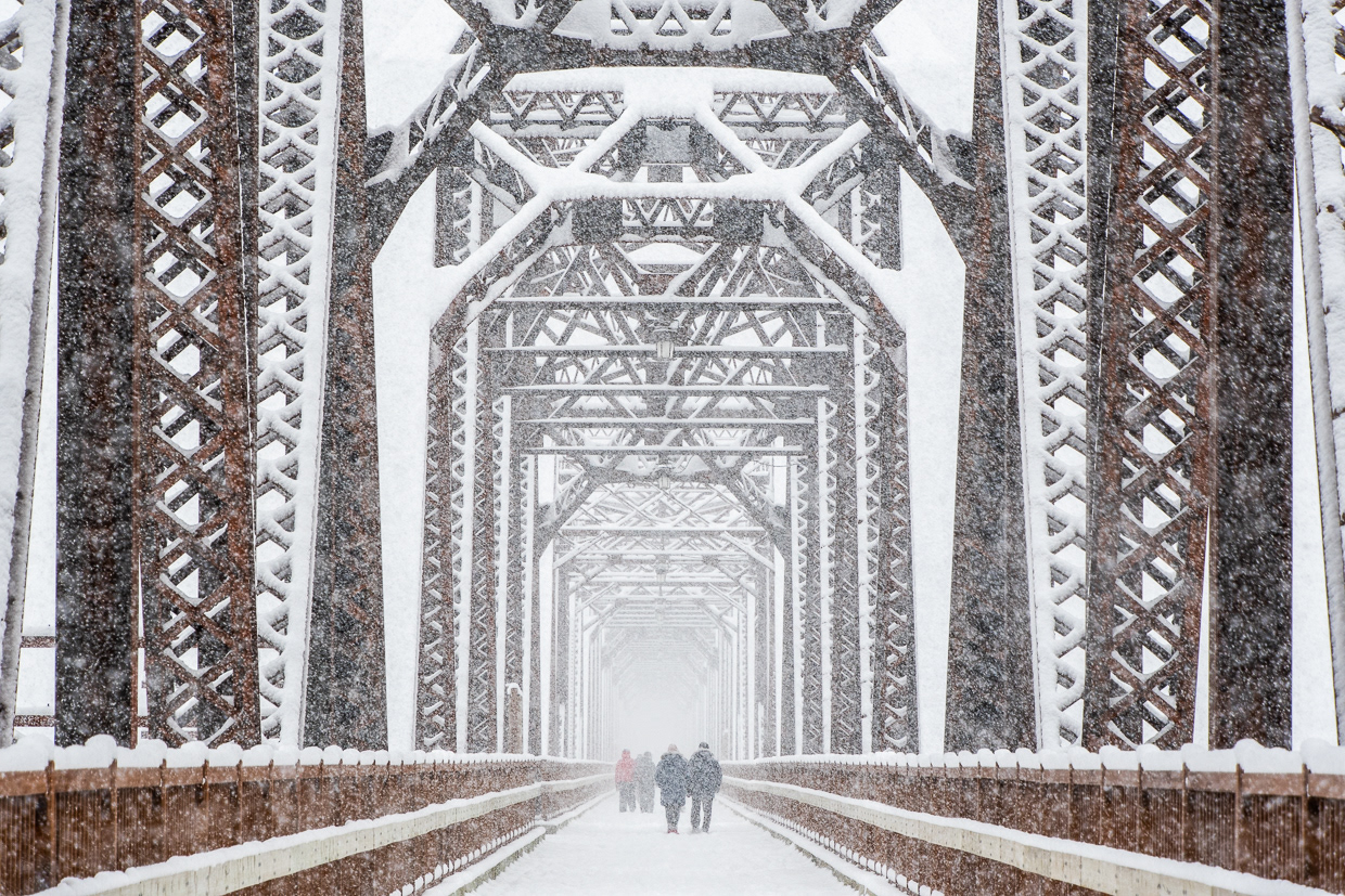 F'ton Public Library Artist Gallery 2022