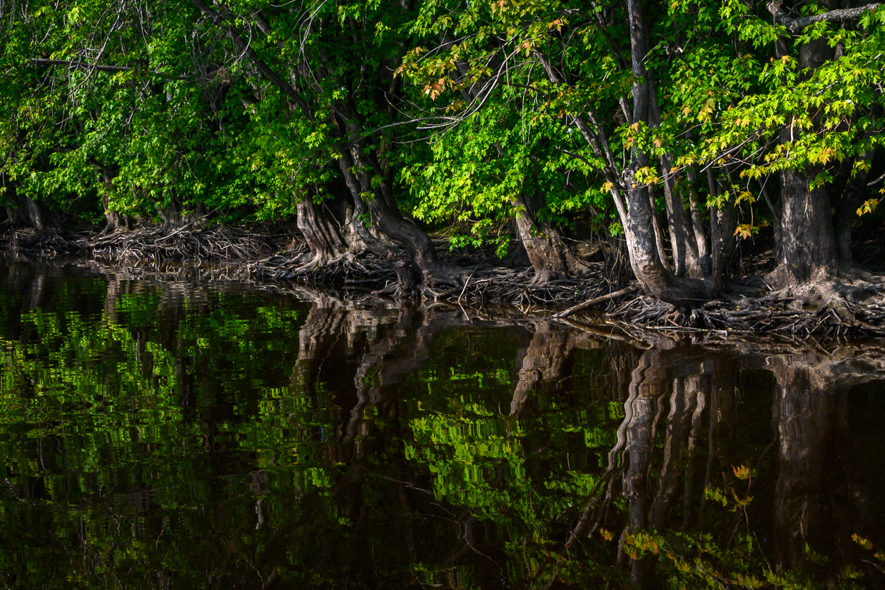 Self-Reflections