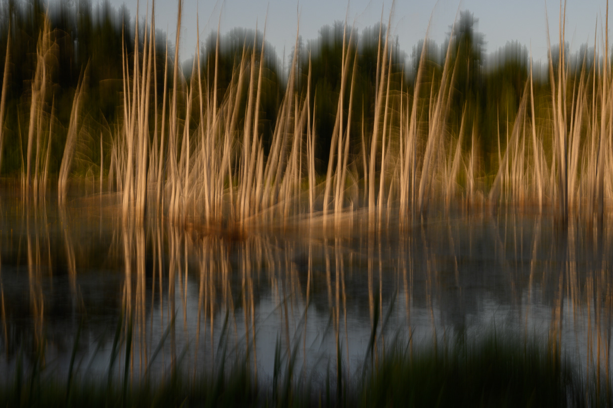 Sunset Reflections