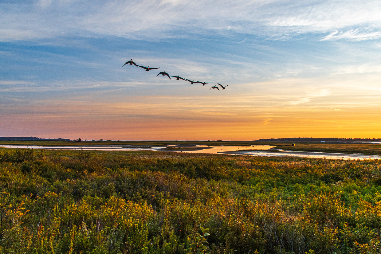Sunrise Flight