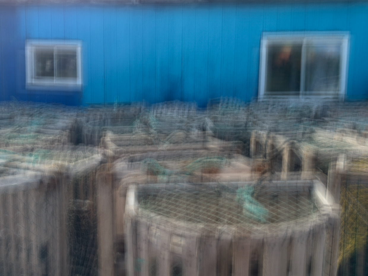 Lobster Traps