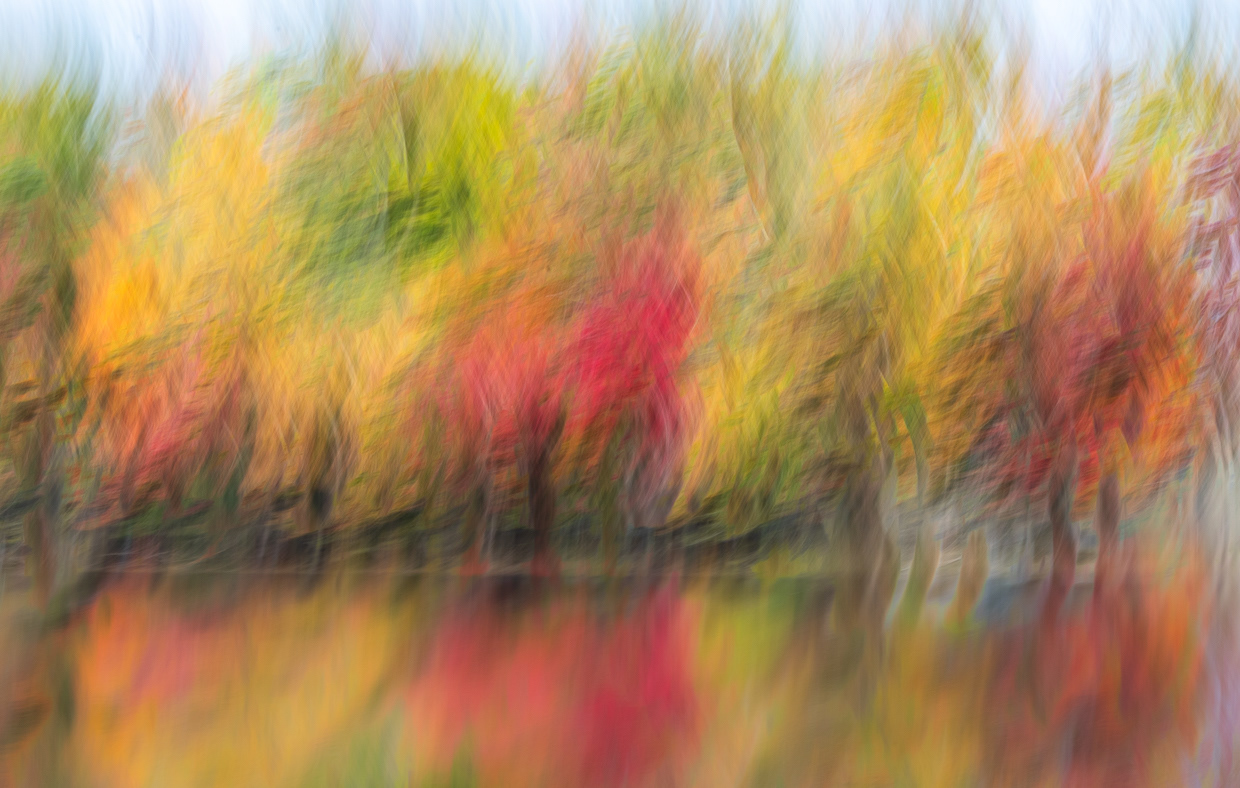 Nature's Watercolour