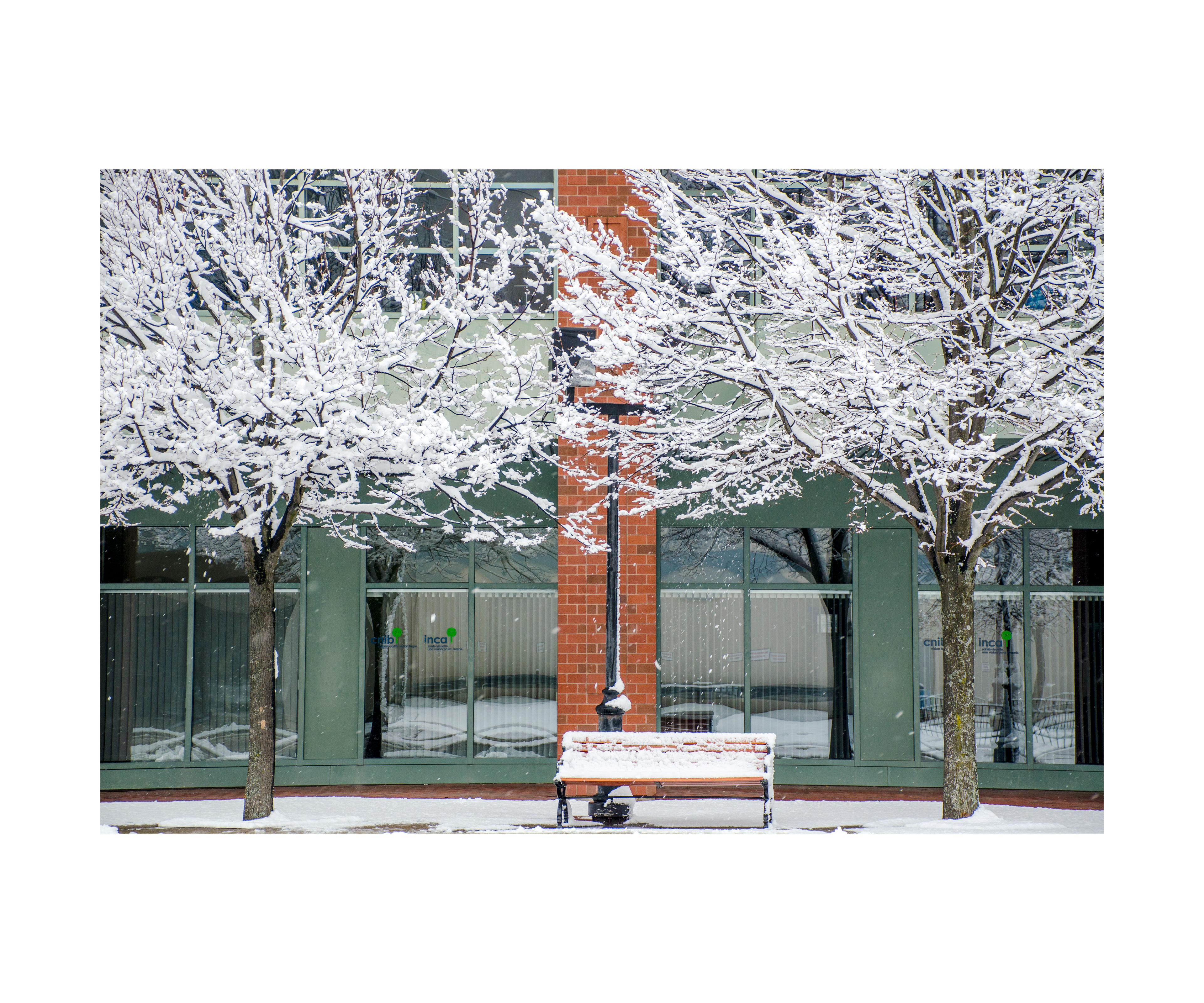 F'ton Public Library Artist Gallery 2019