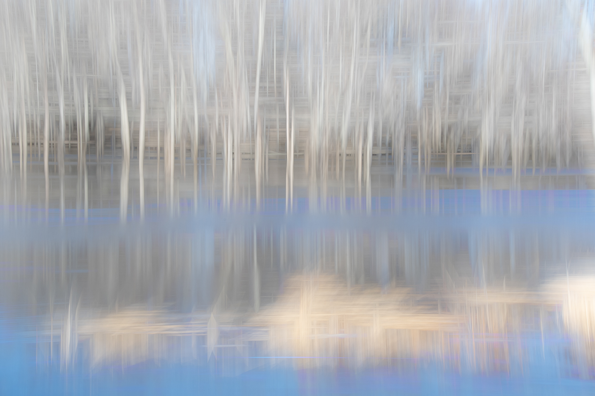Reflections