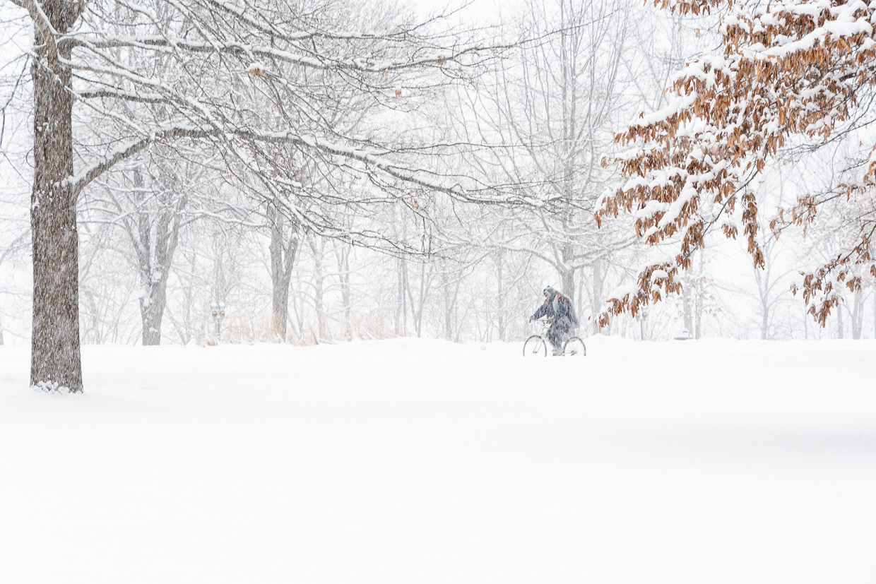 F'ton Public Library Artist Gallery 2022