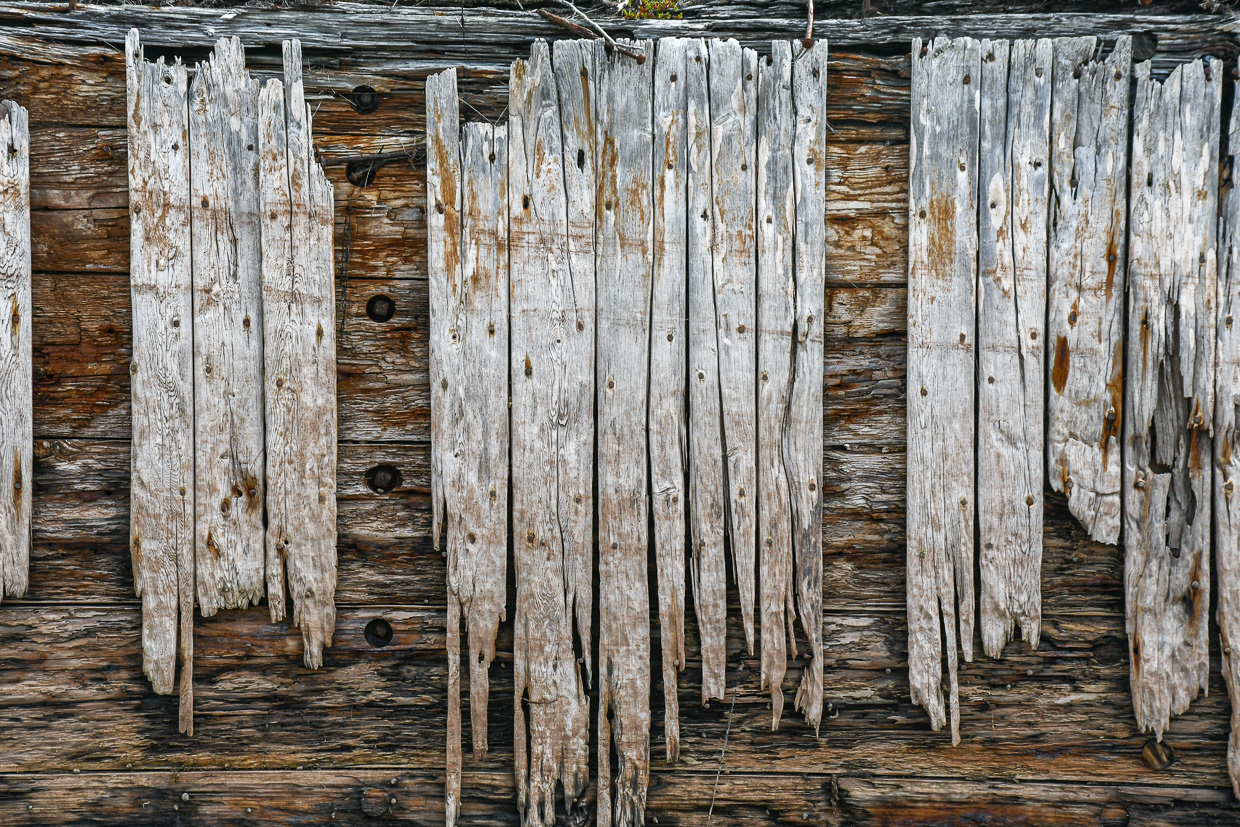 The Artistry of Decay