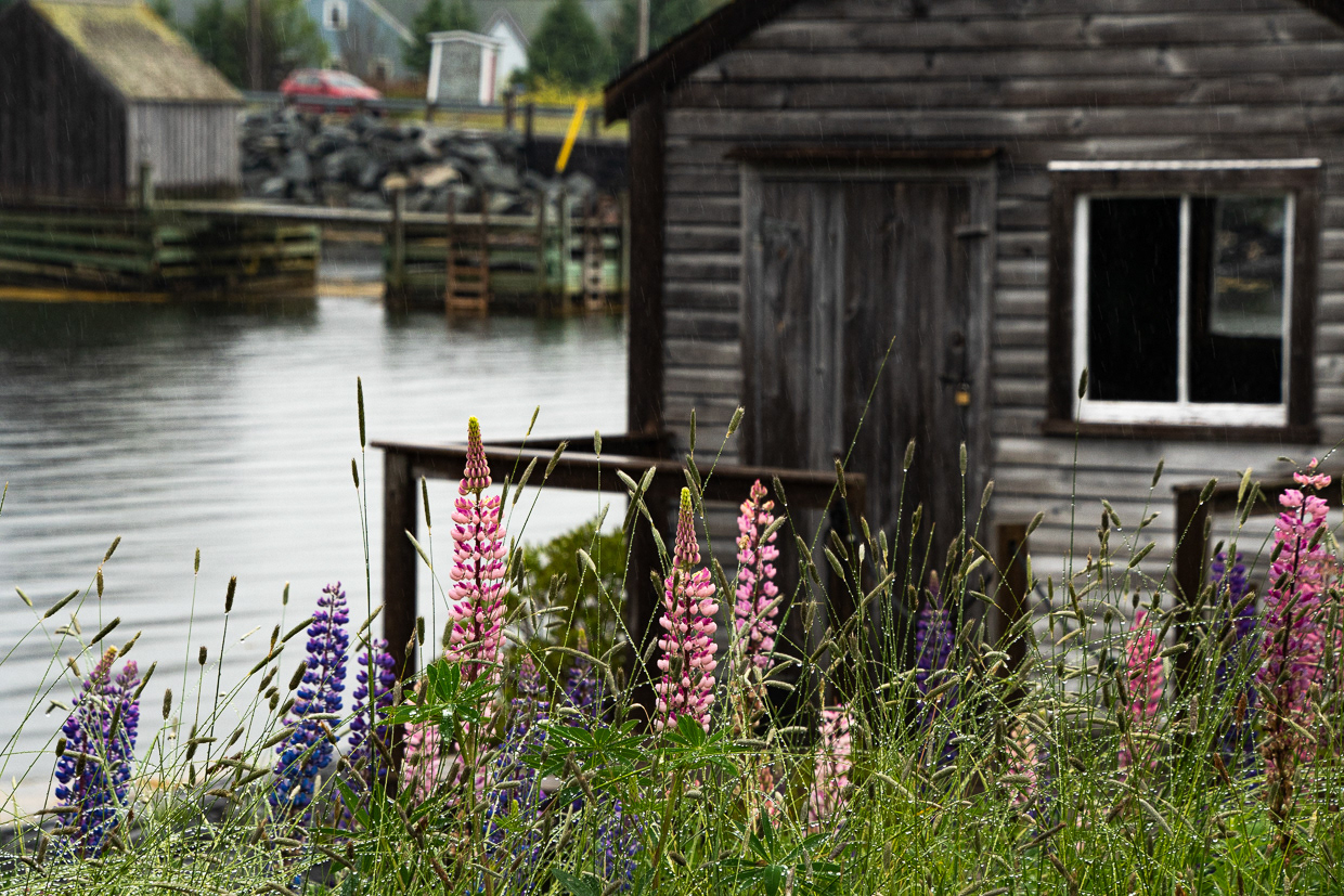 Waterfront Shed