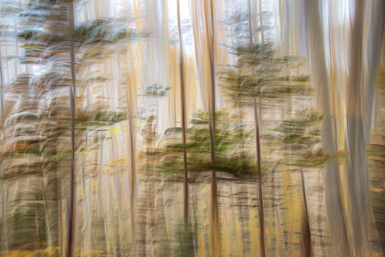 "Nature's Mosaic", Fresh Eyes Viewpoint Gallery, 2024