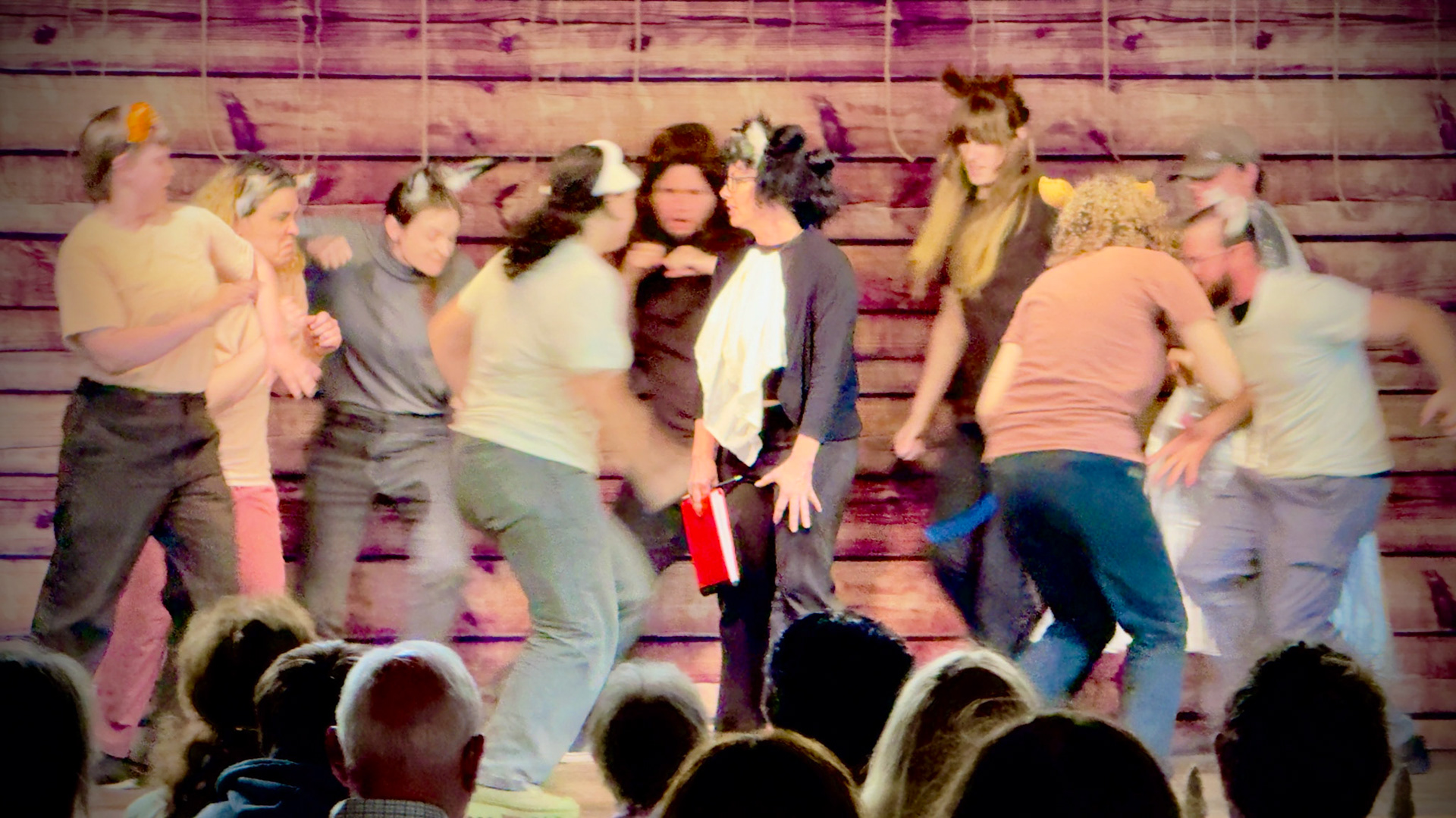 Director - Animal Farm