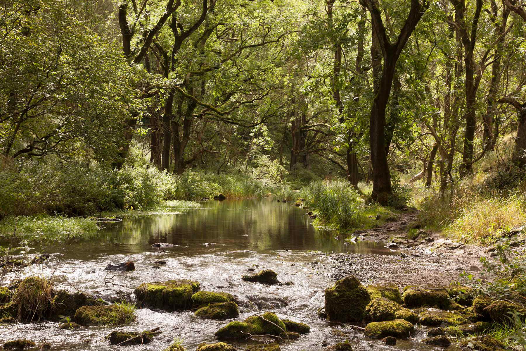 Lathkill Dale, The Peak District