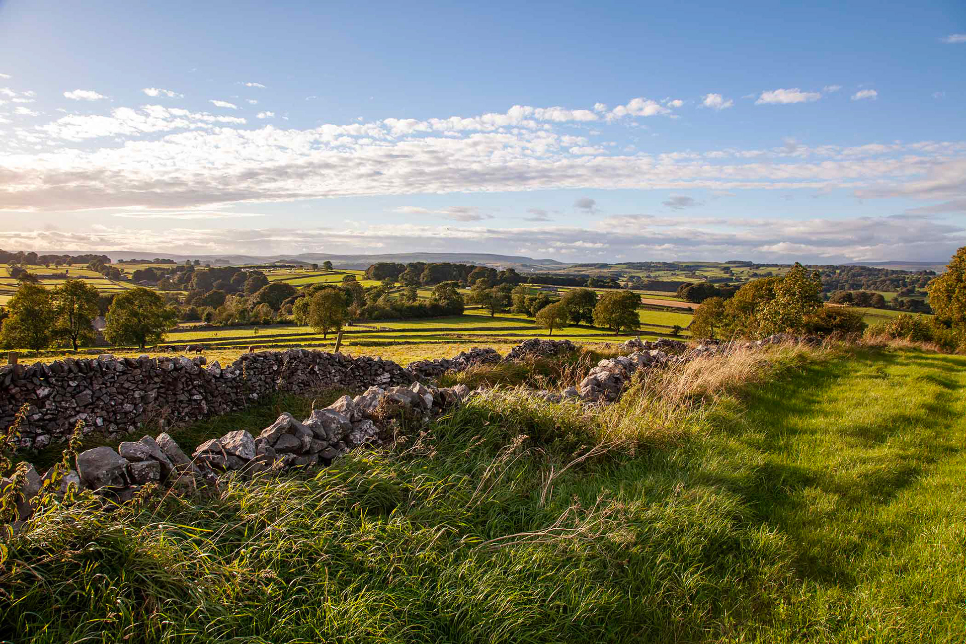 Priestcliffe, The Peak District 