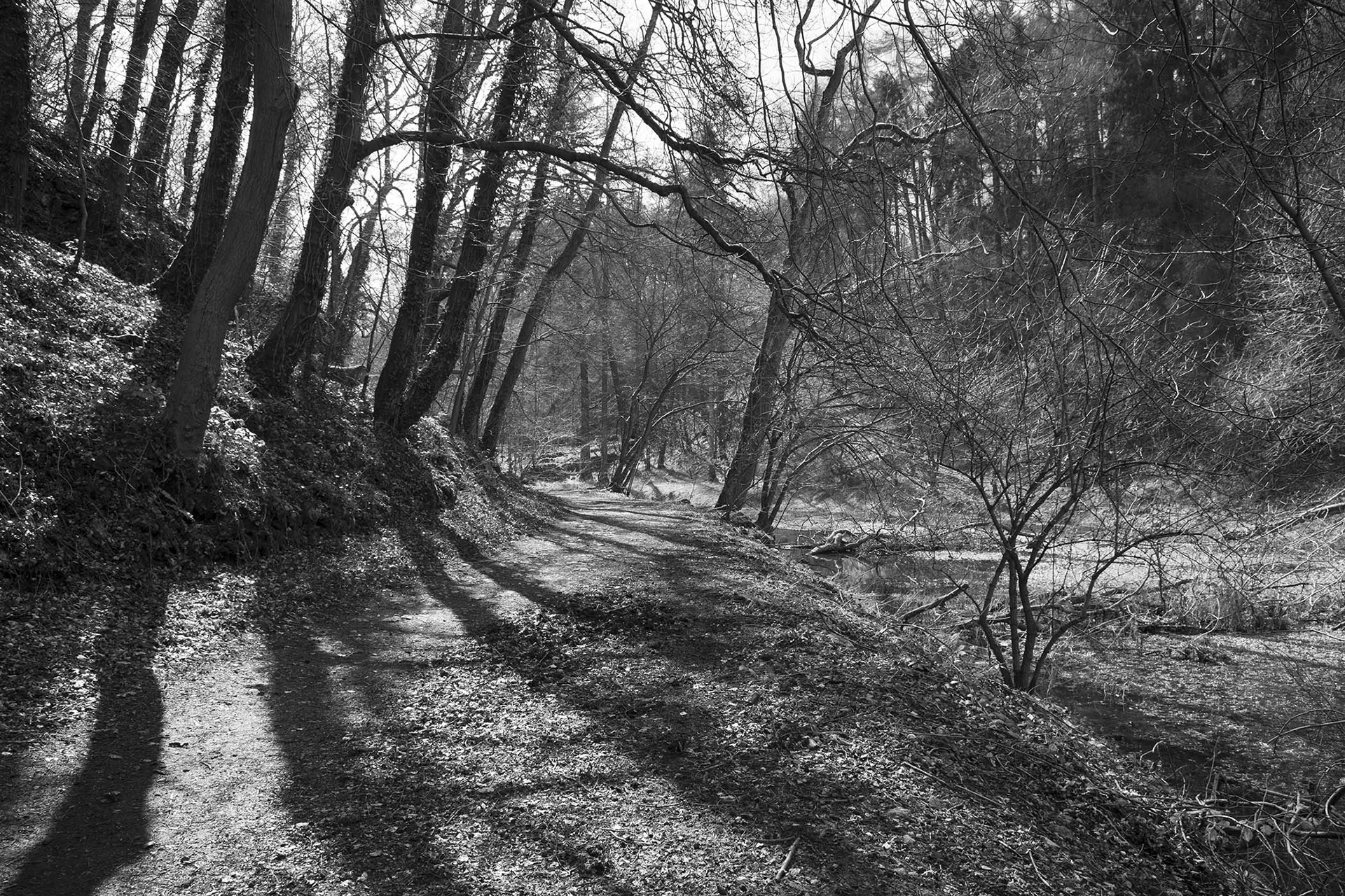 Bradford Dale, The Peak District