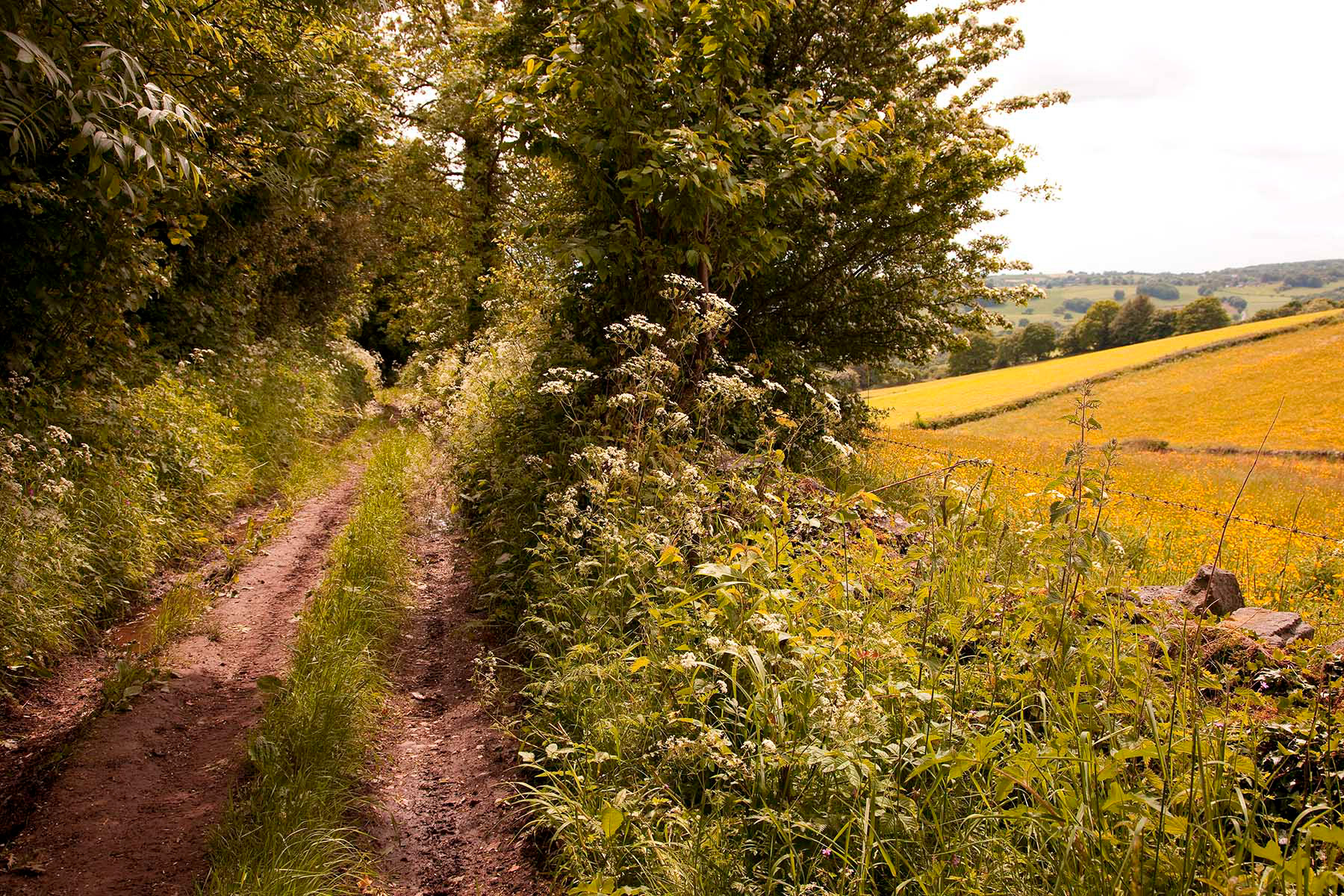 Pratthall Lane, near Wirksworth, Derbyshire