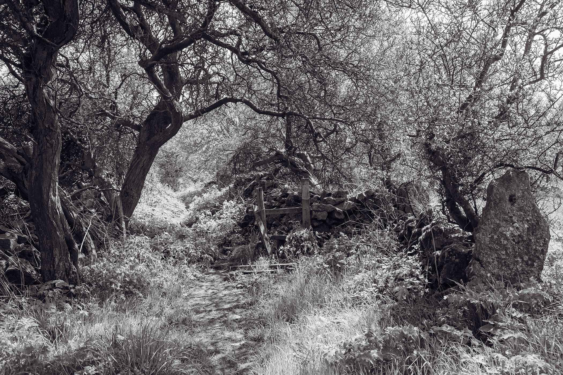 Path near Uppertown, Derbyshire