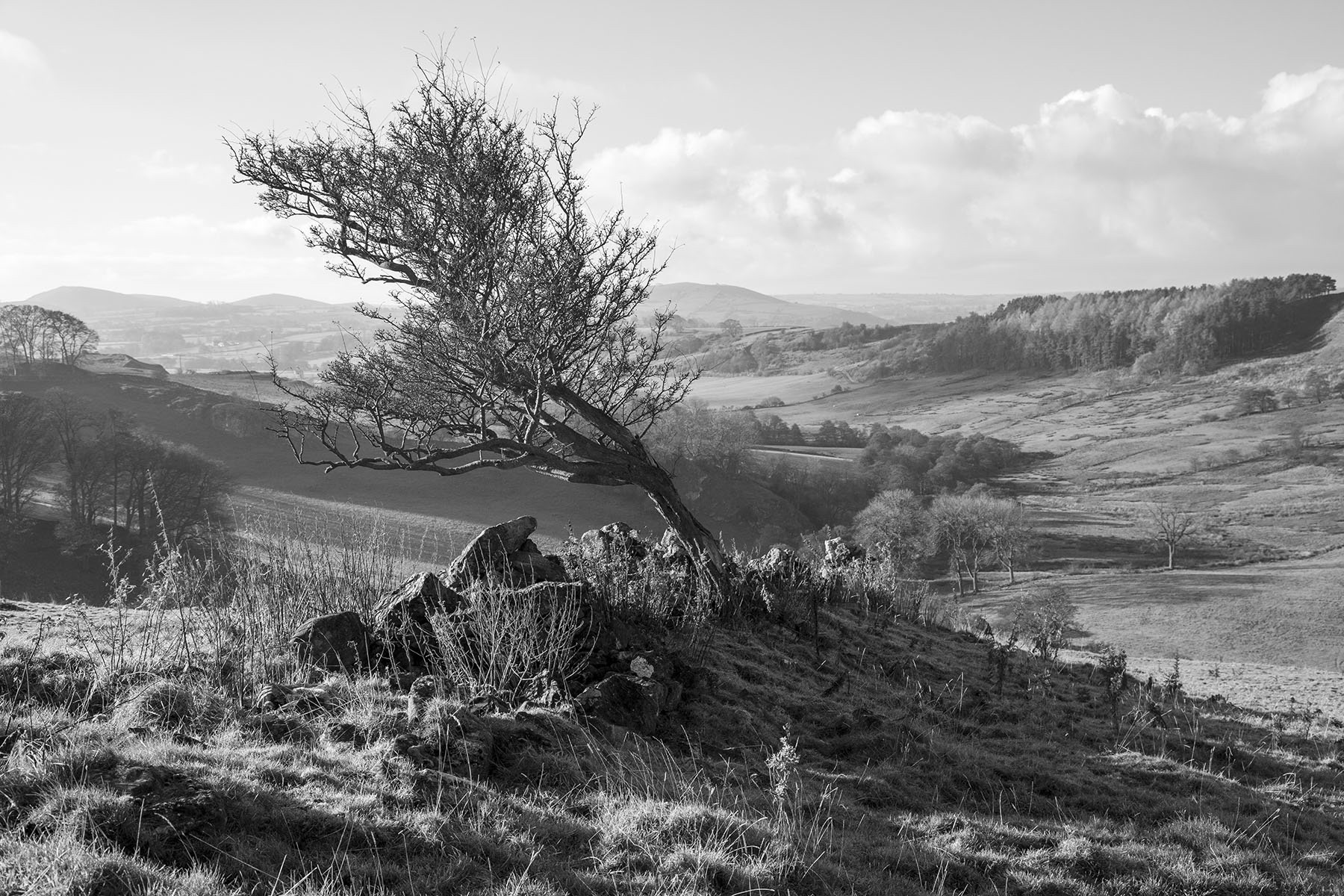 Bank Top Farm, near Hartington, The Peak District 