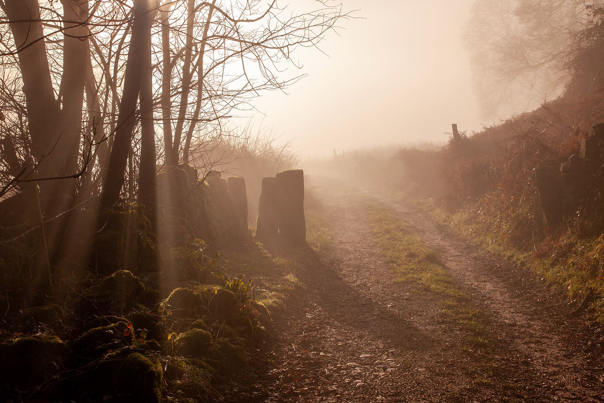 Wakebridge Farm, Derbyshire