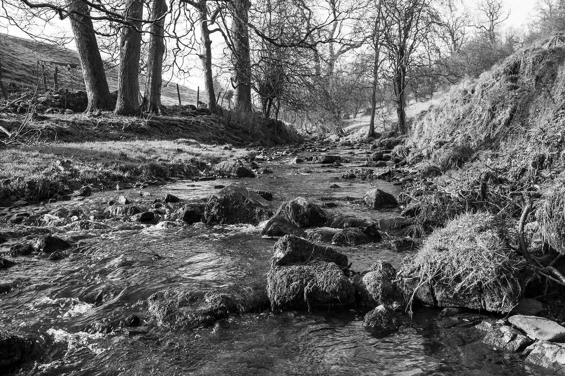 Hoo Brook near Butterton, The Peak District