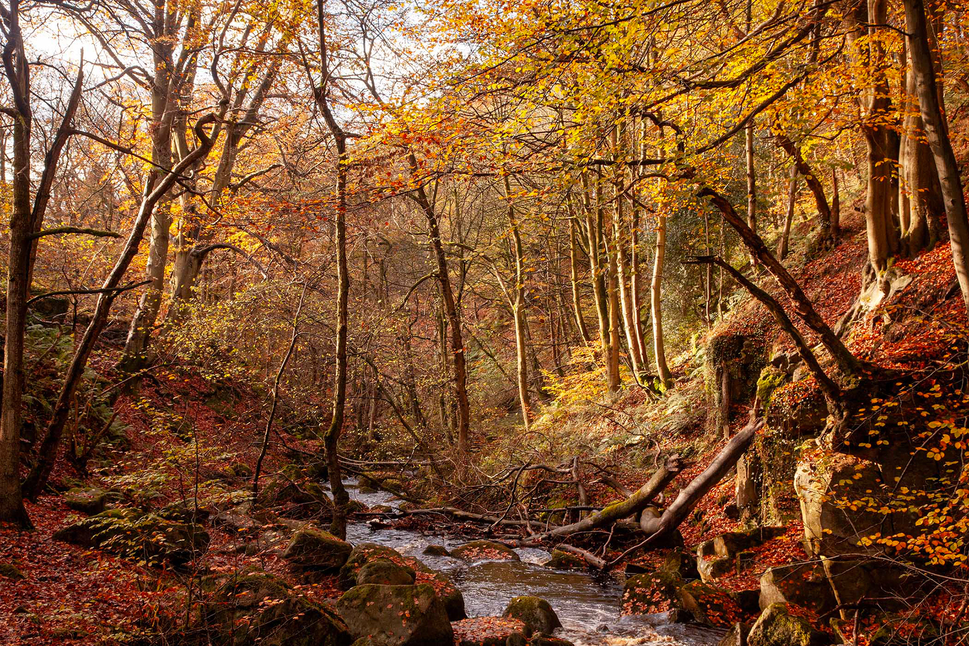 Burbage Brook, The Peak District