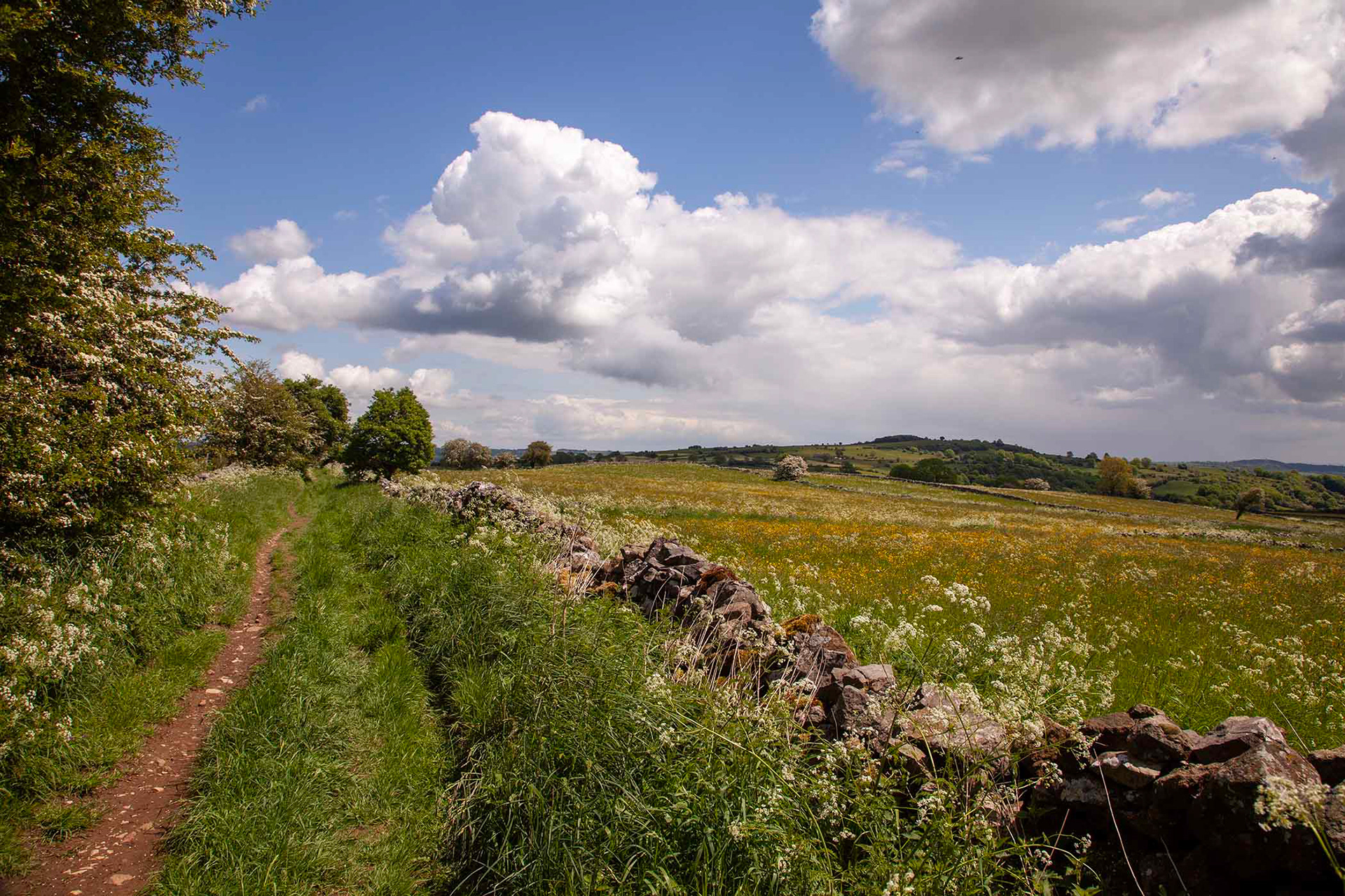 Moorlands Lane, near Brightgate, Derbyshire