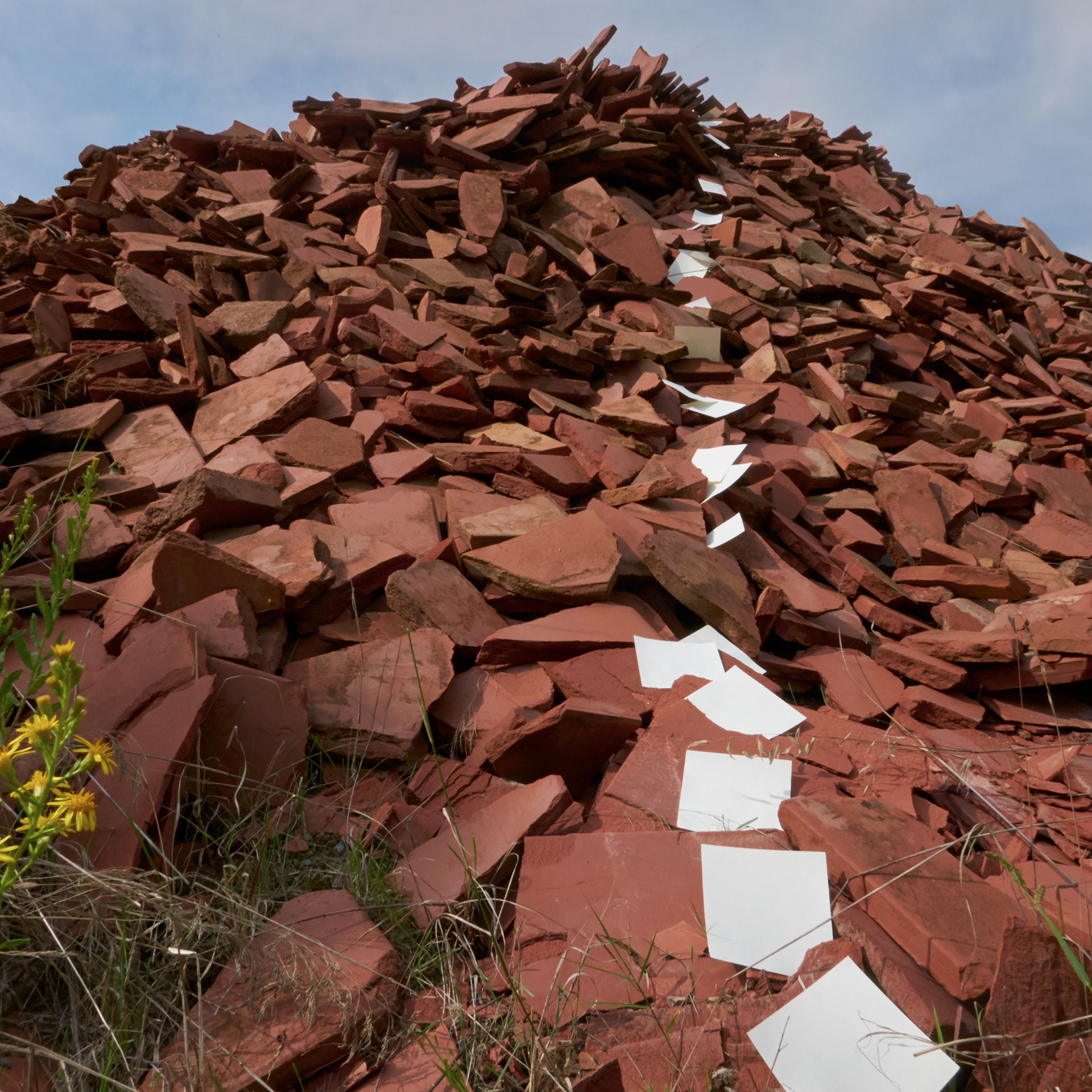 Trimmen Der Achselhaare Mit Stumpfen Scheren