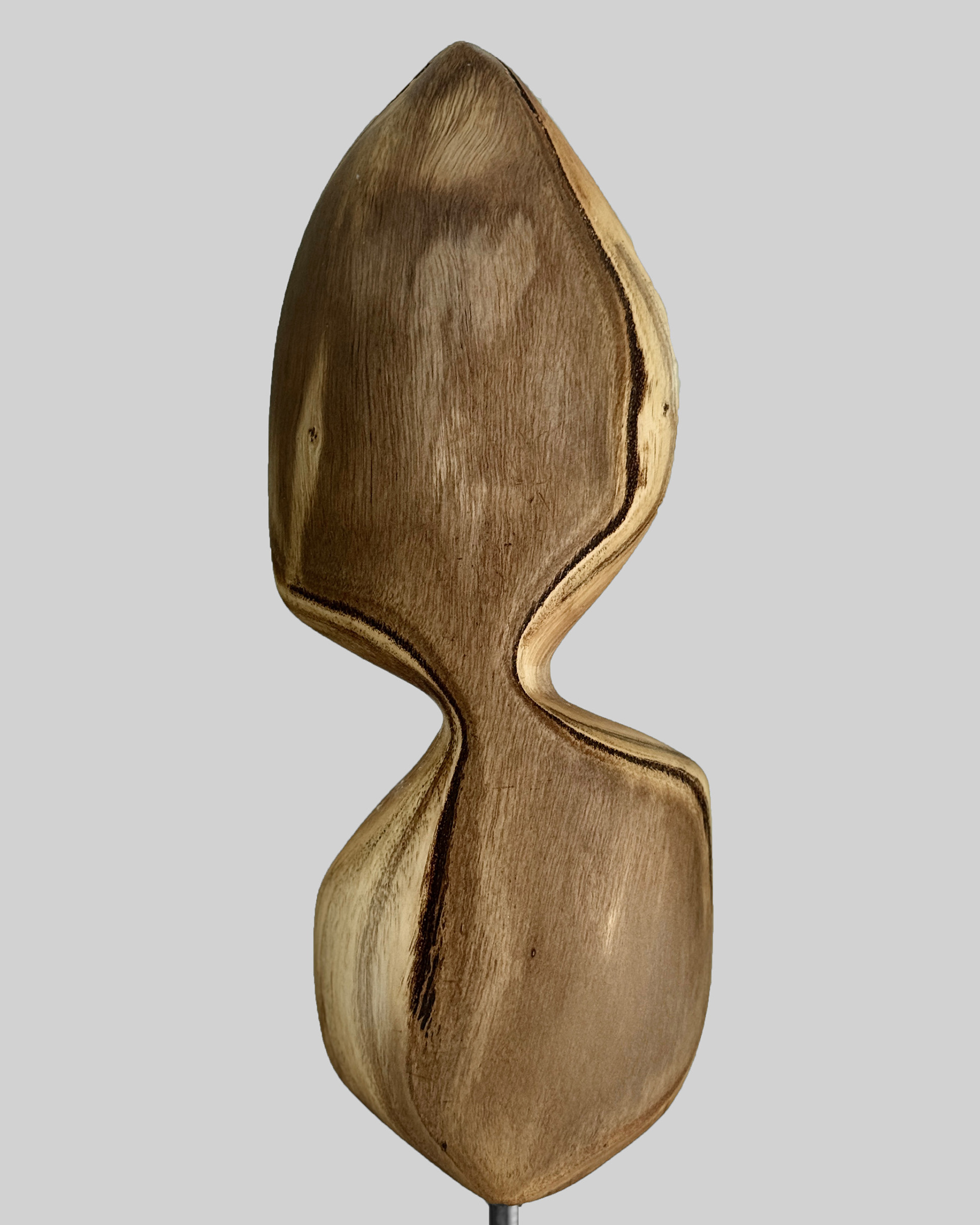 Seam Axis, 2026, eucalyptus by Kendall Conrad — alternate view.