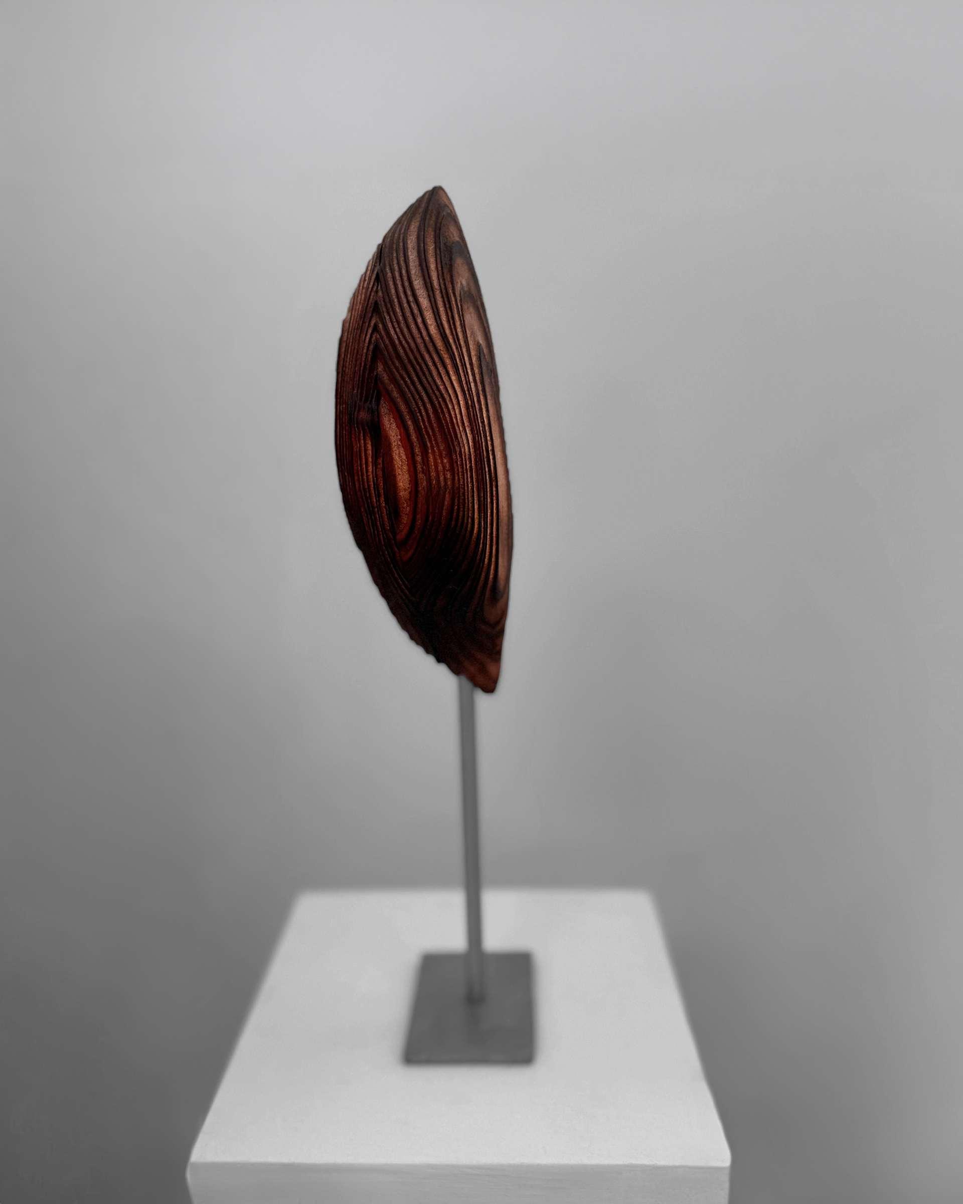 Seed Strata, 2026, charred, laminated redwood by Kendall Conrad — alternate view.