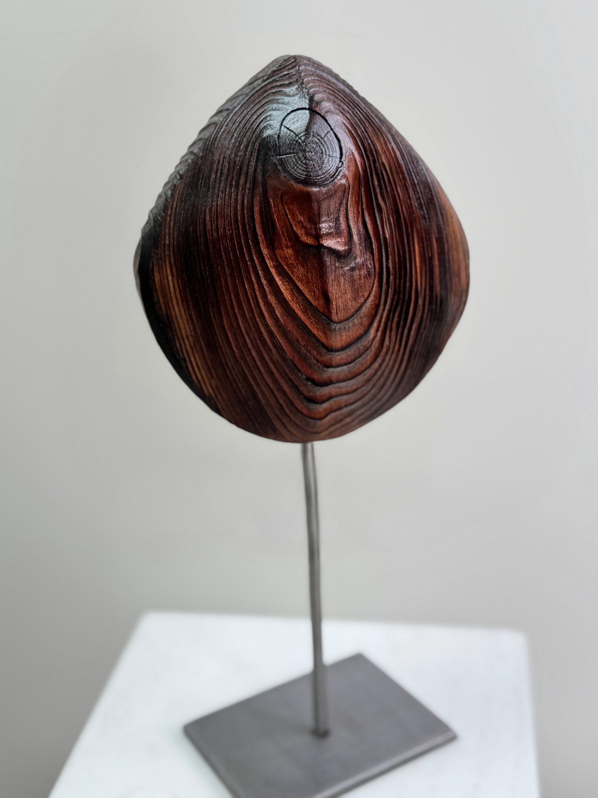 Nodule Strata, 2025. Charred, laminated California redwood sculpture by Kendall Conrad, 6.5 × 6 × 3 in.
