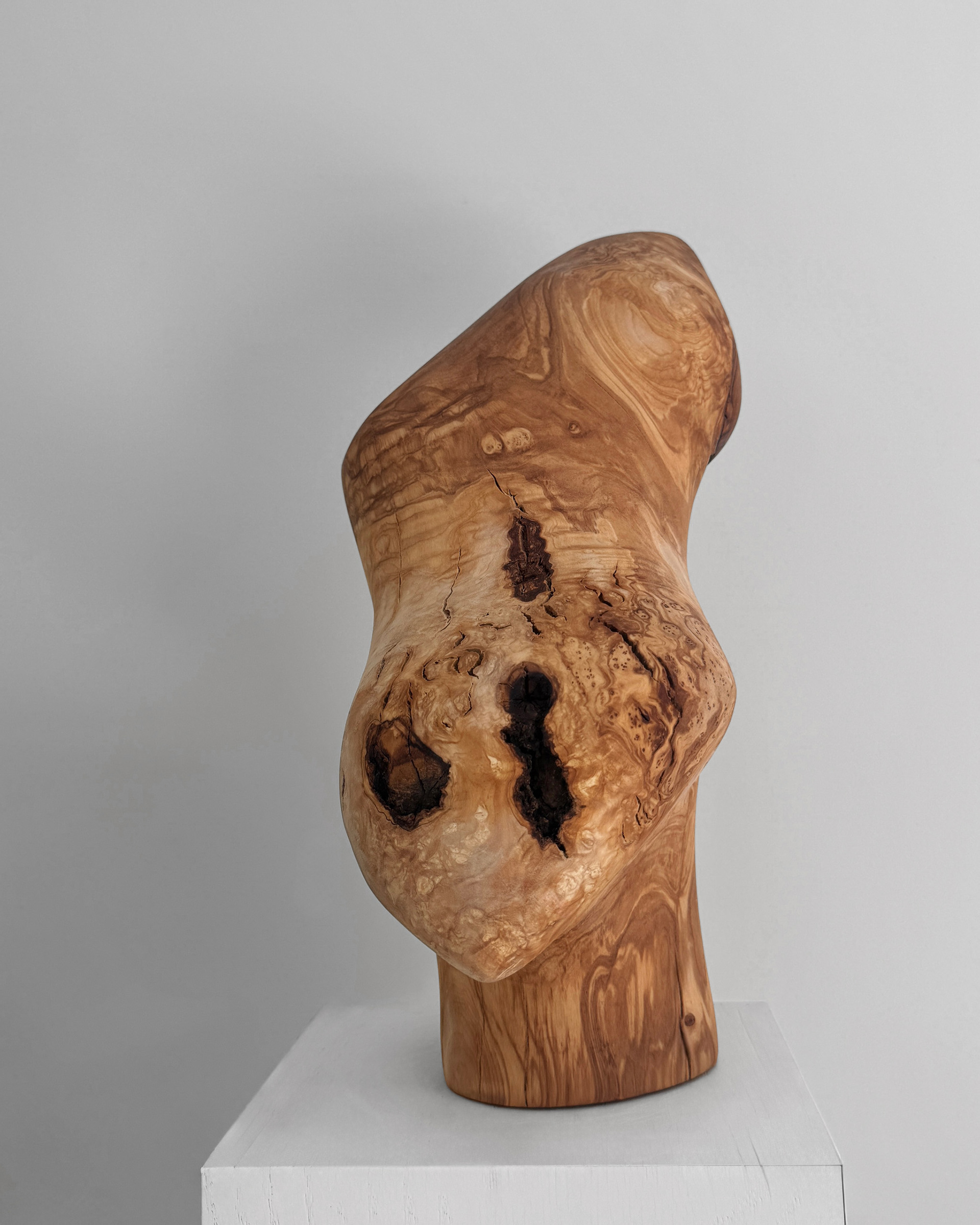 Burl Study, 2026, olive burl by Kendall Conrad — alternate view.