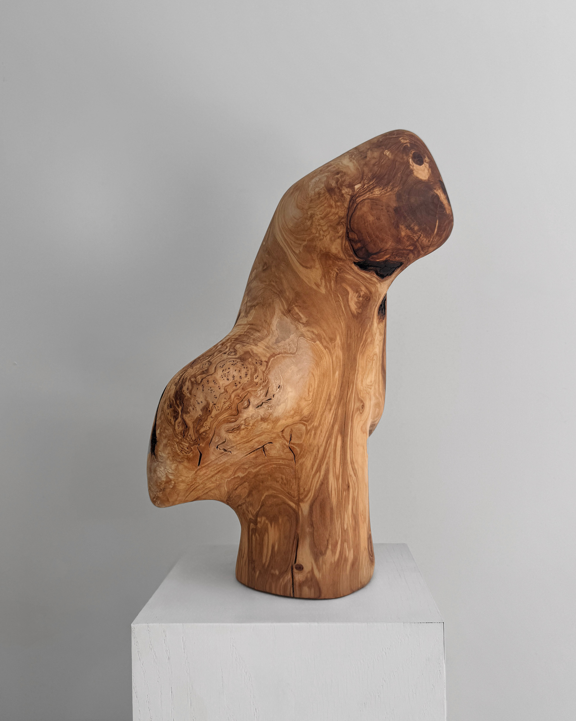 Burl Study, 2026. Olive burl sculpture by Kendall Conrad, 14 × 11 × 8 in.