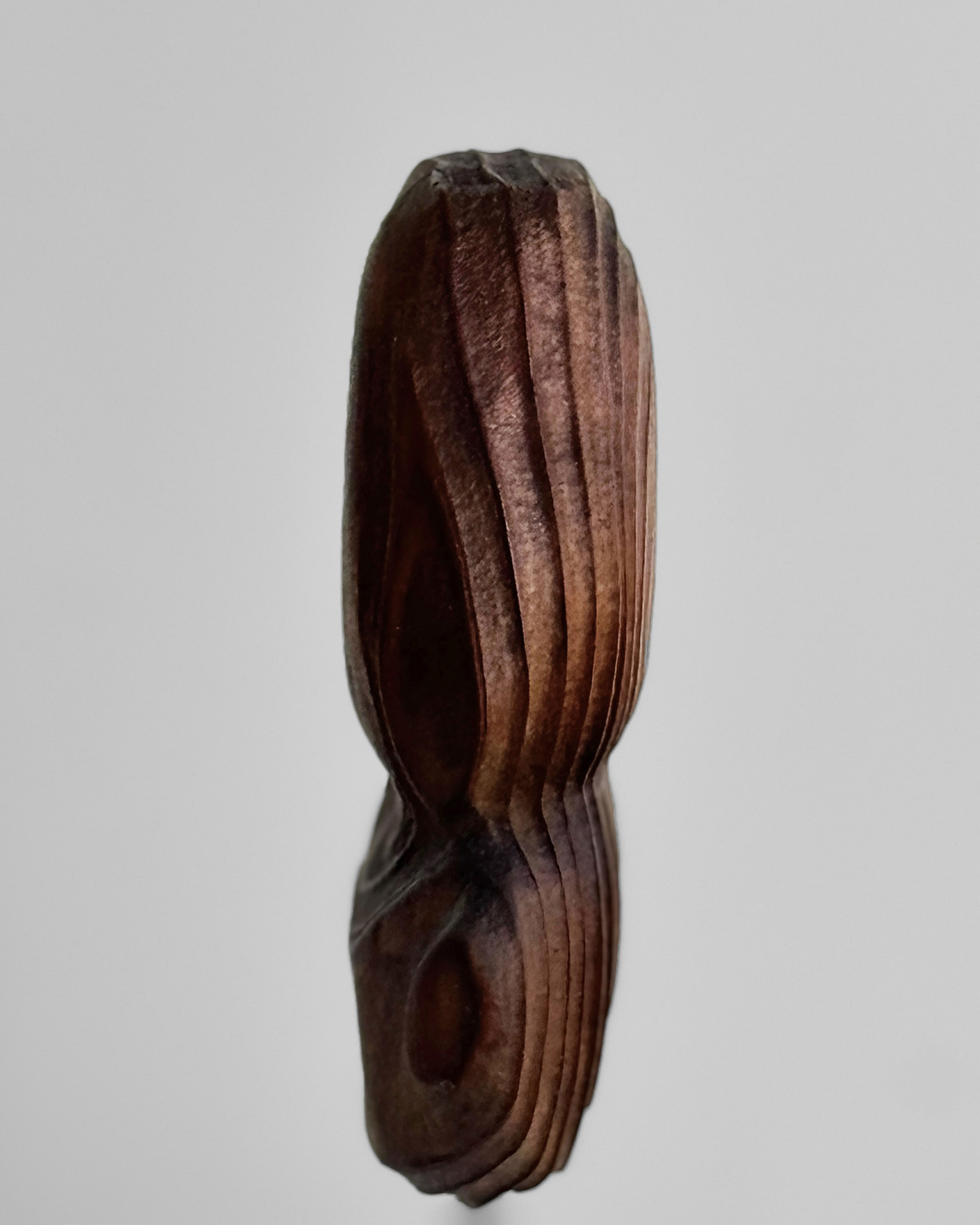 Relic Strata, 2025, charred, laminated California redwood by Kendall Conrad — alternate view.