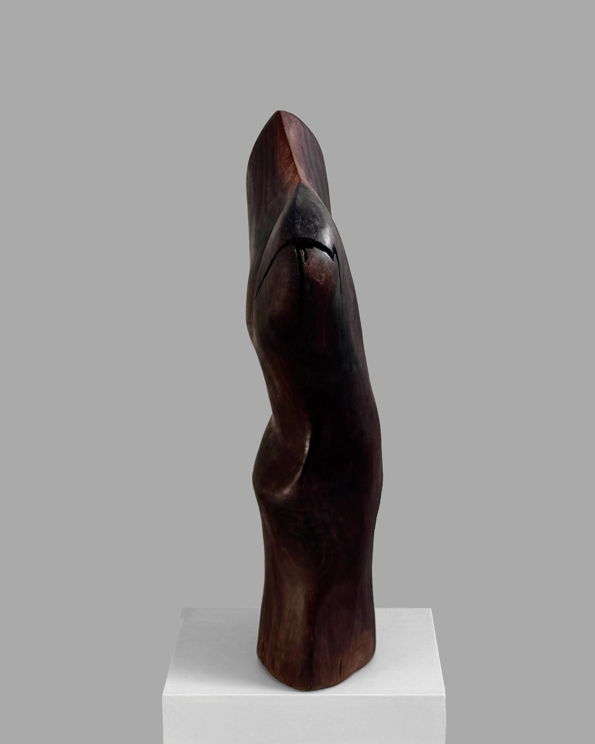 Tectonic, 2026, walnut by Kendall Conrad — alternate view.