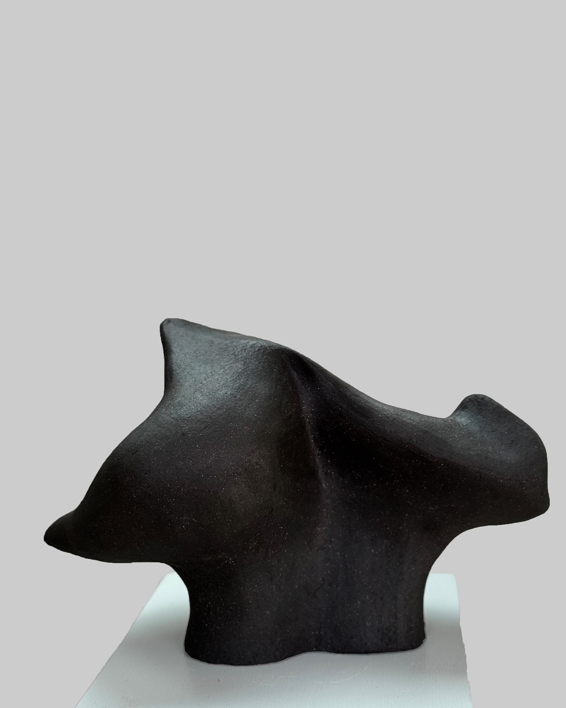 Aeolian Form, 2026, black stoneware by Kendall Conrad — alternate view.