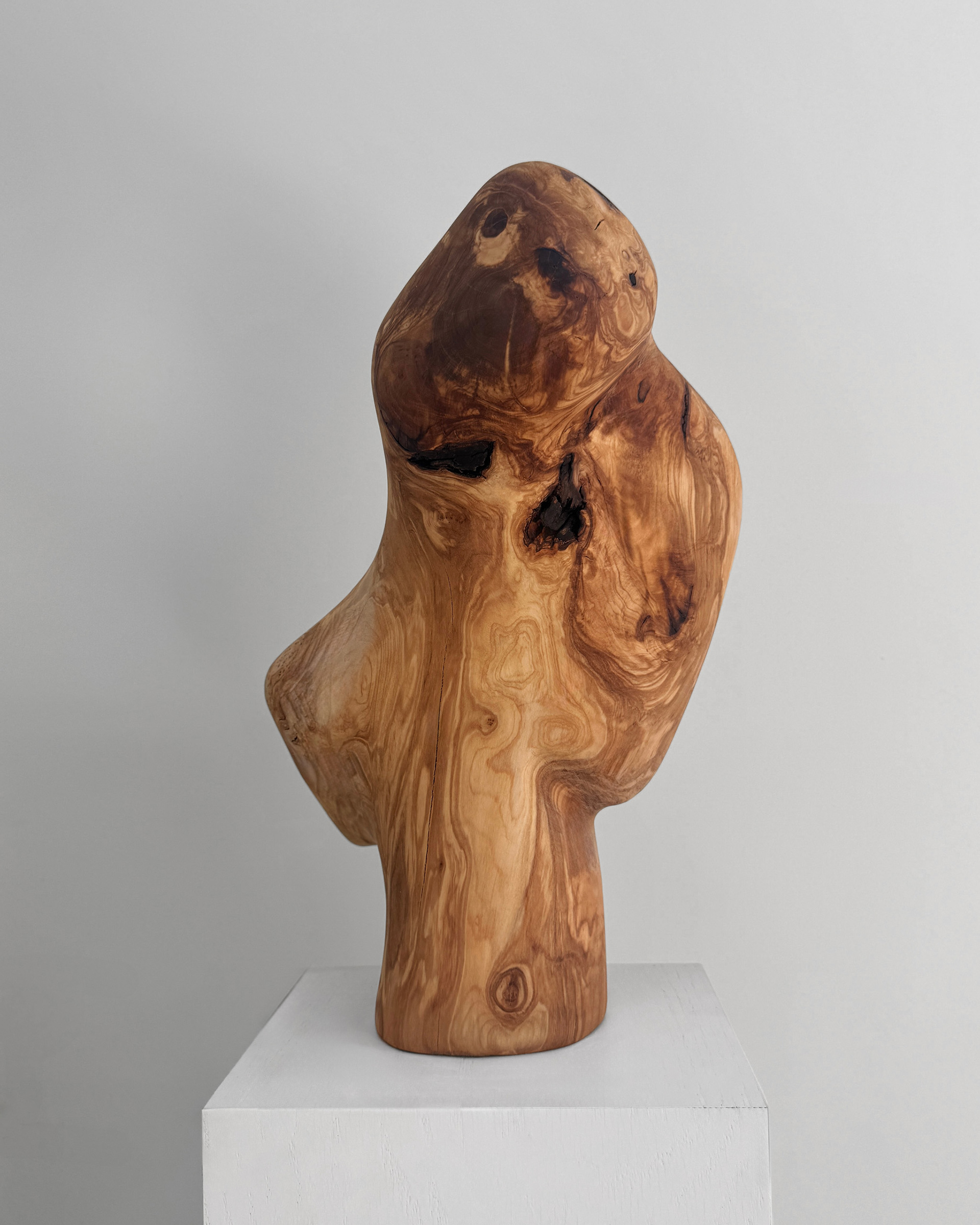 Burl Study, 2026, olive burl by Kendall Conrad — alternate view.