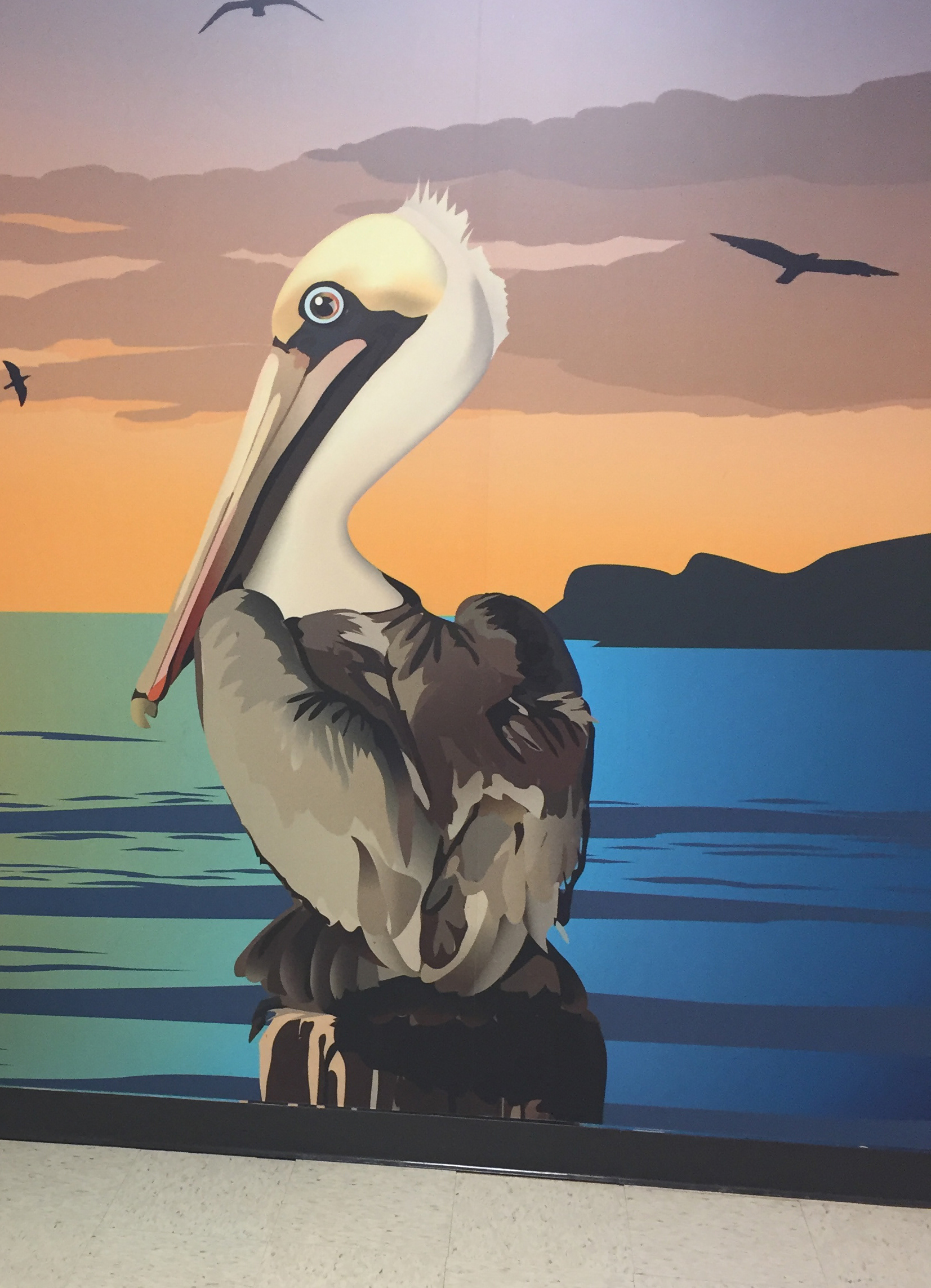 Pelican - Adobe Illustrator