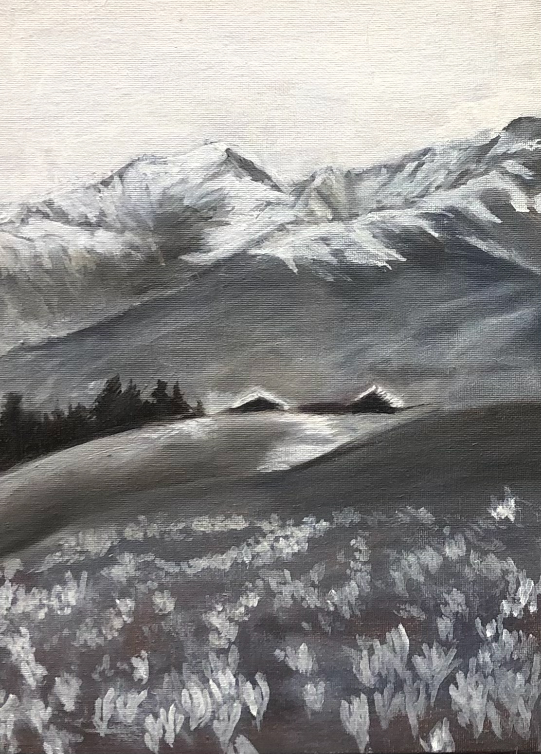 Monochromatic Study