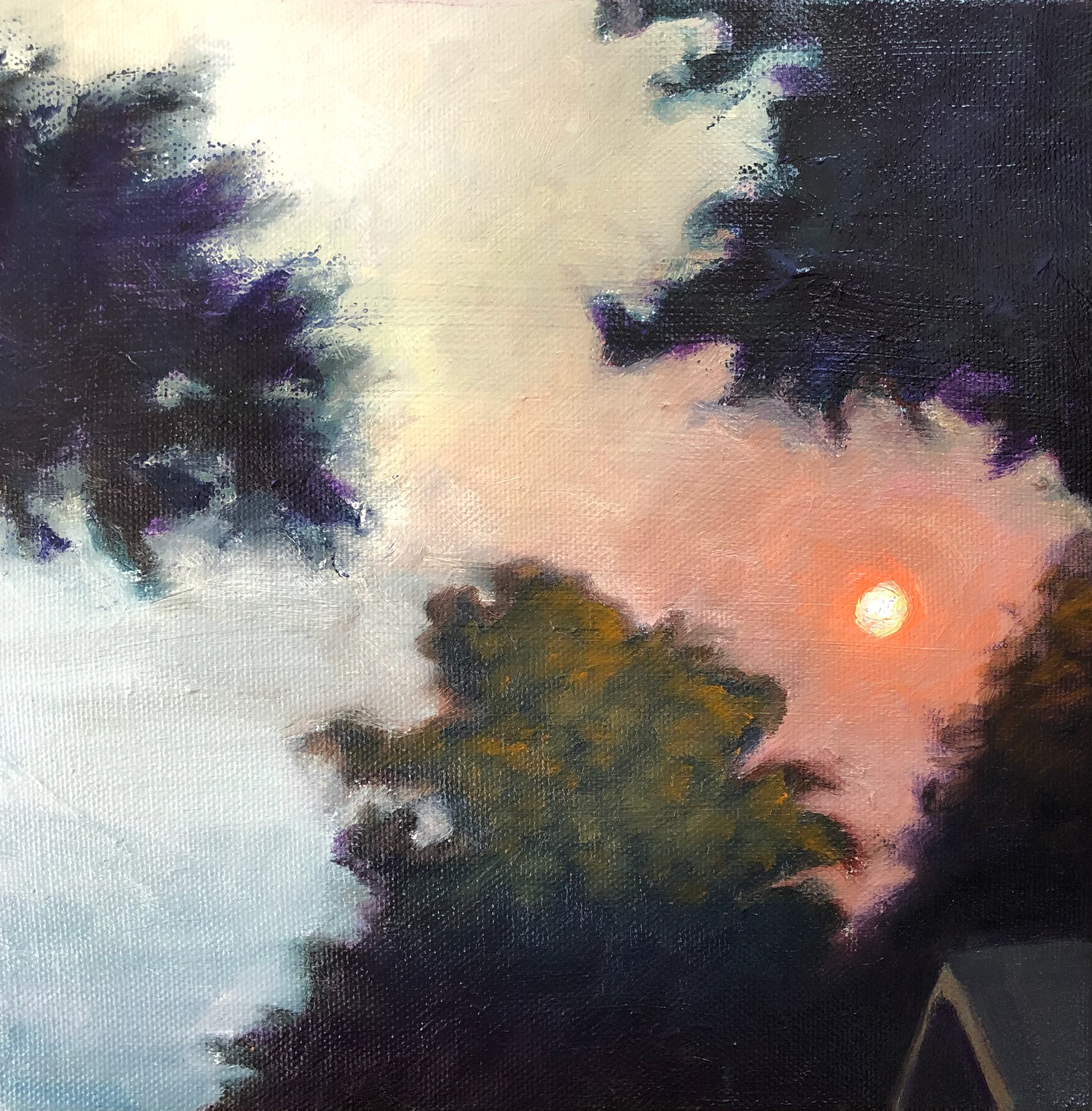 Sun on Hartcourt Ave