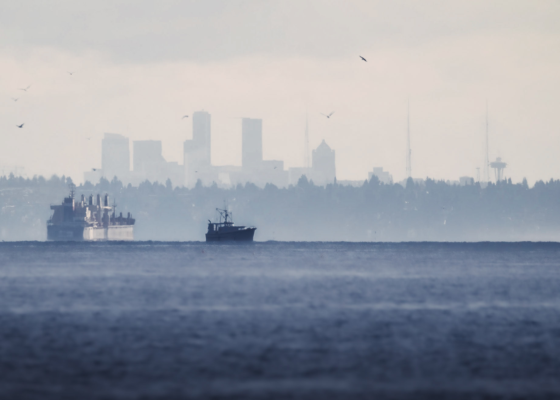 Seattle Skyline