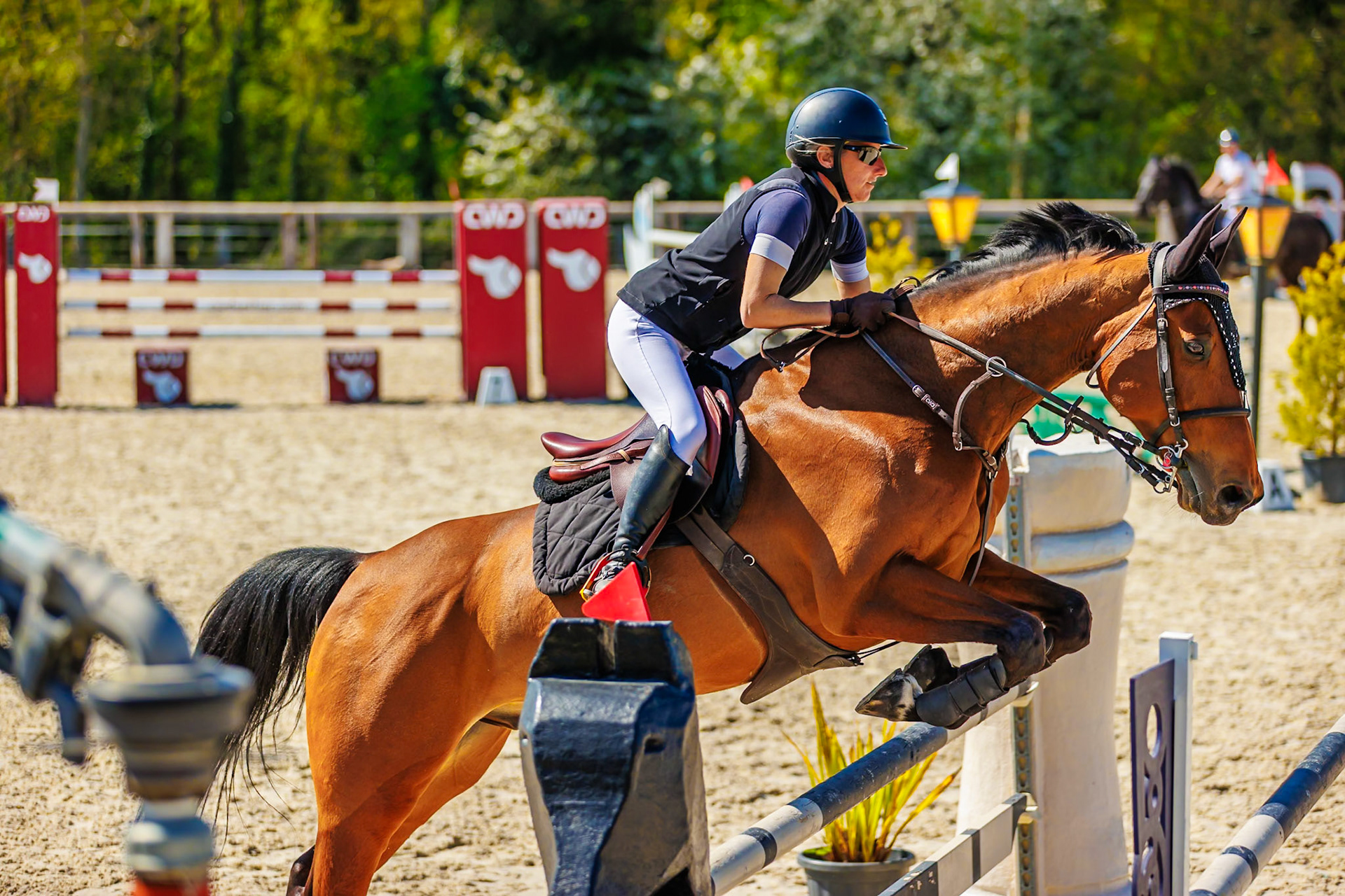 CSO Haras de Monthomé 48