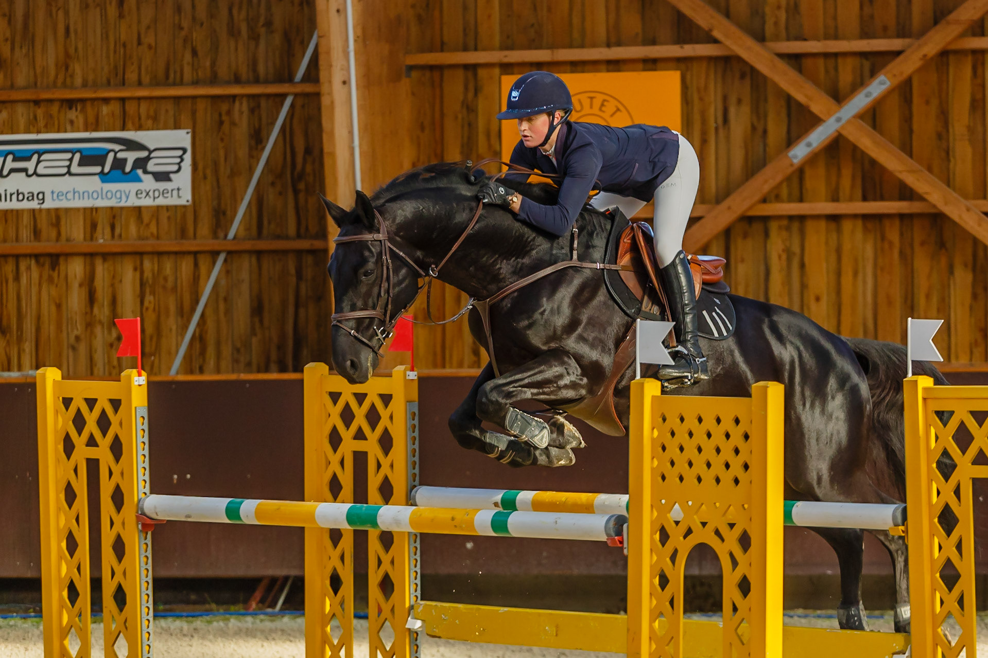 Concours hippique Liverdy-en Brie (77)
