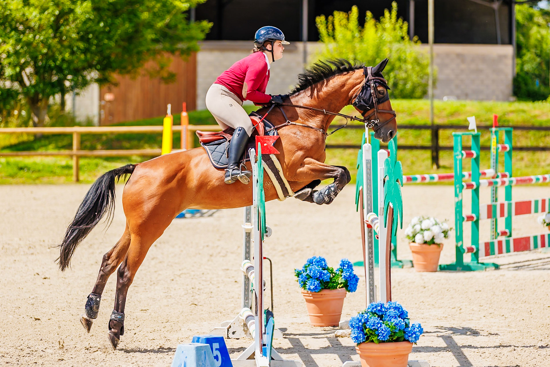 13 juillet 2024 / Haras de Liverdy-en-Brie / Seine-et-Marne / Saut d'obstacles Amateur 1  Grand Prix (1.20 m)