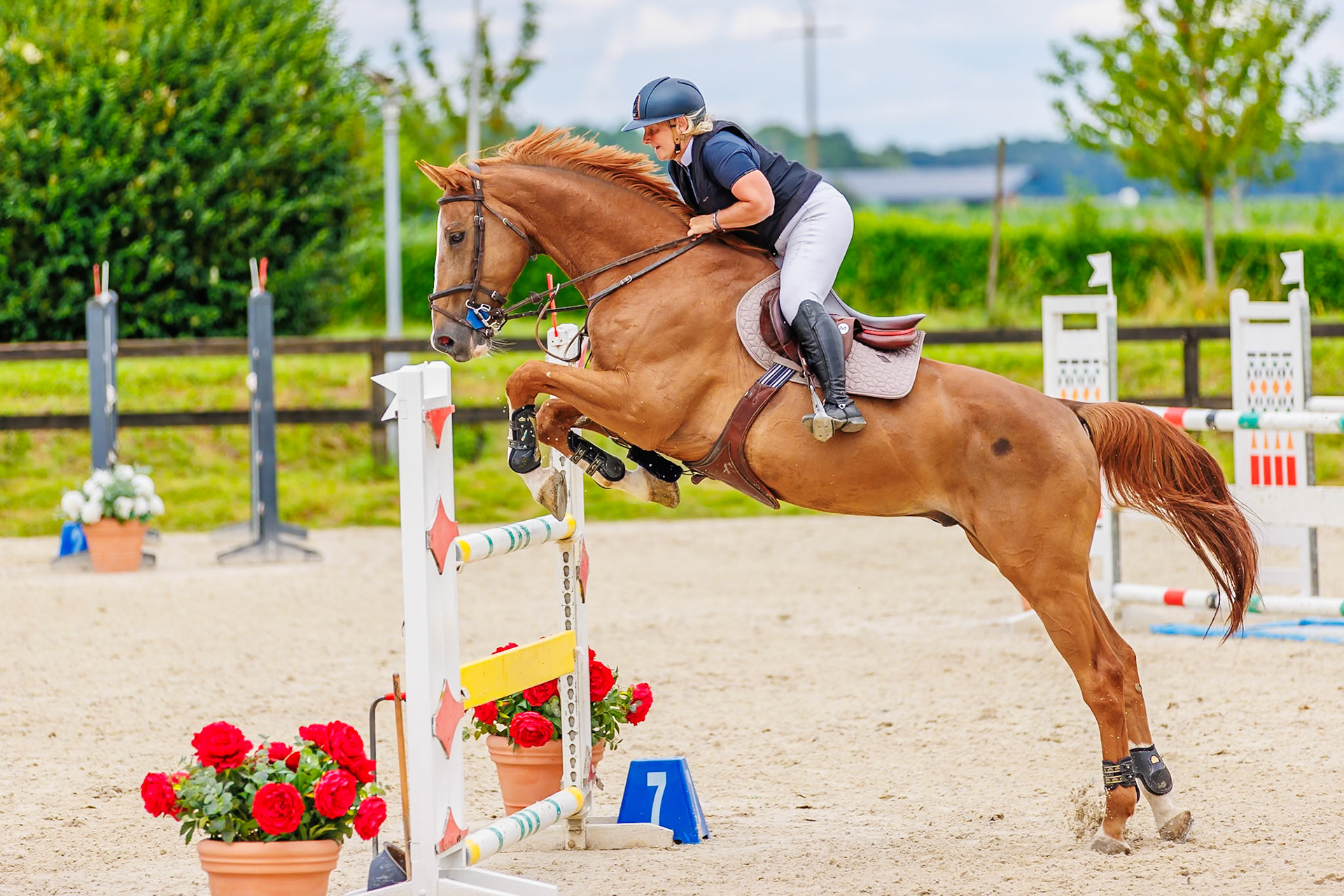 13 juillet 2024 / Haras de Liverdy-en-Brie / Seine-et-Marne / Saut d'obstacles Pro 3 Grand Prix (1.25 m)