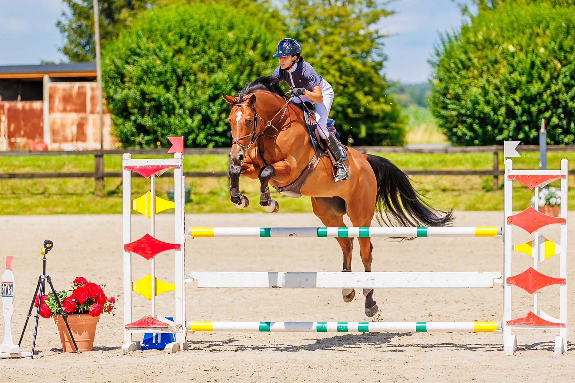 13 juillet 2024 / Haras de Liverdy-en-Brie / Seine-et-Marne / Saut d'obstacles Amateur 1  Grand Prix (1.20 m)