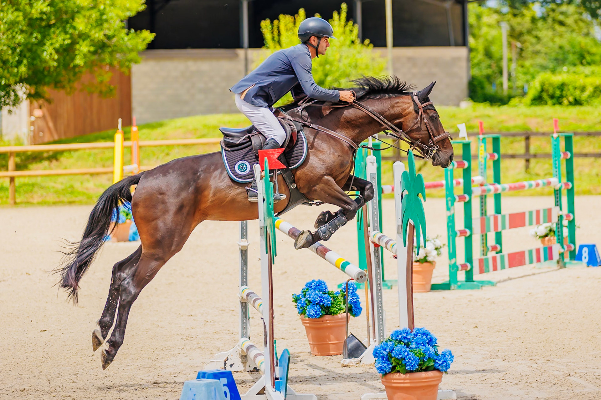 13 juillet 2024 / Haras de Liverdy-en-Brie / Seine-et-Marne / Saut d'obstacles Pro 3 Grand Prix (1.25 m)