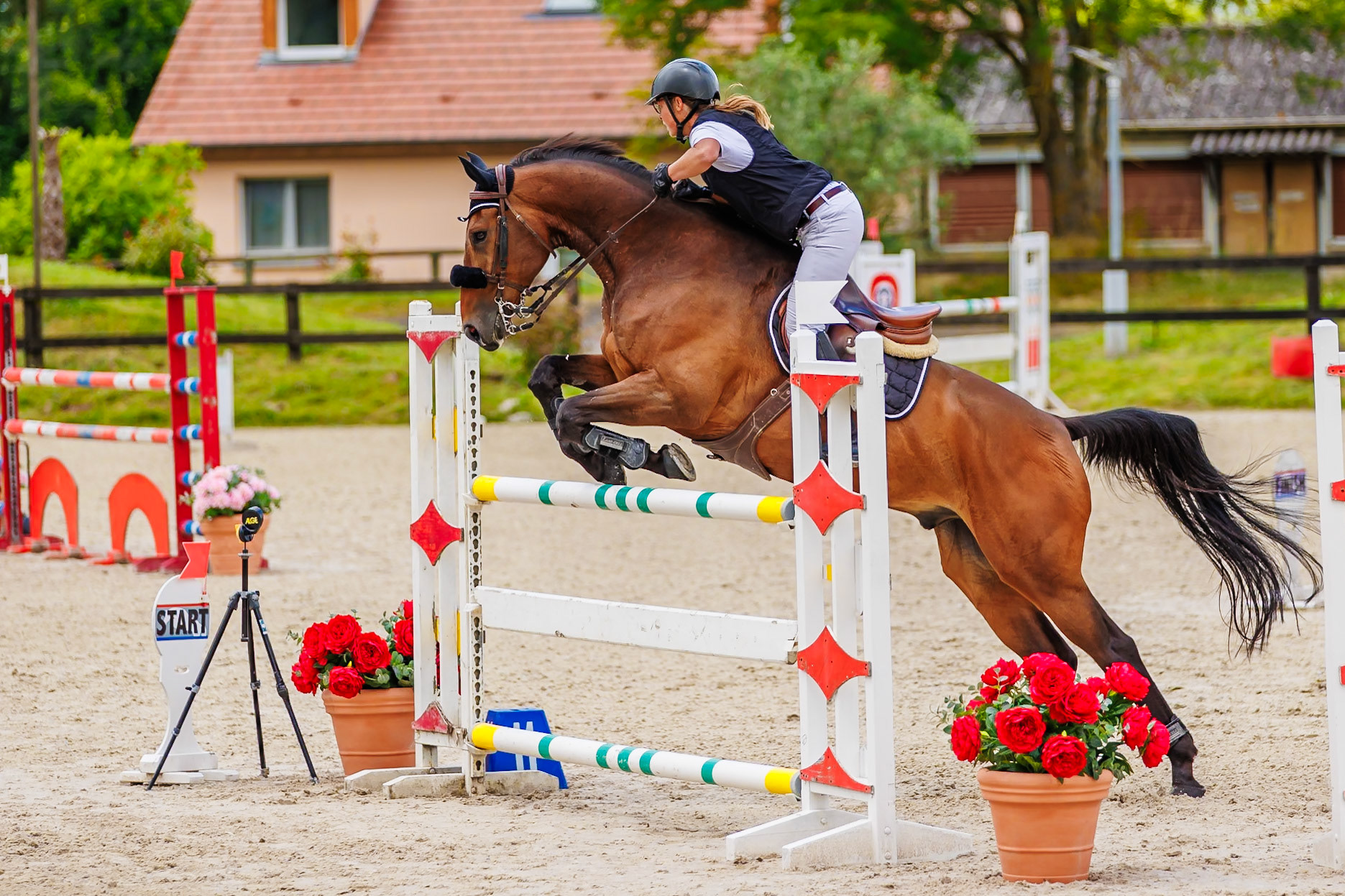 13 juillet 2024 / Haras de Liverdy-en-Brie / Seine-et-Marne / Saut d'obstacles Pro 3 Grand Prix (1.25 m)