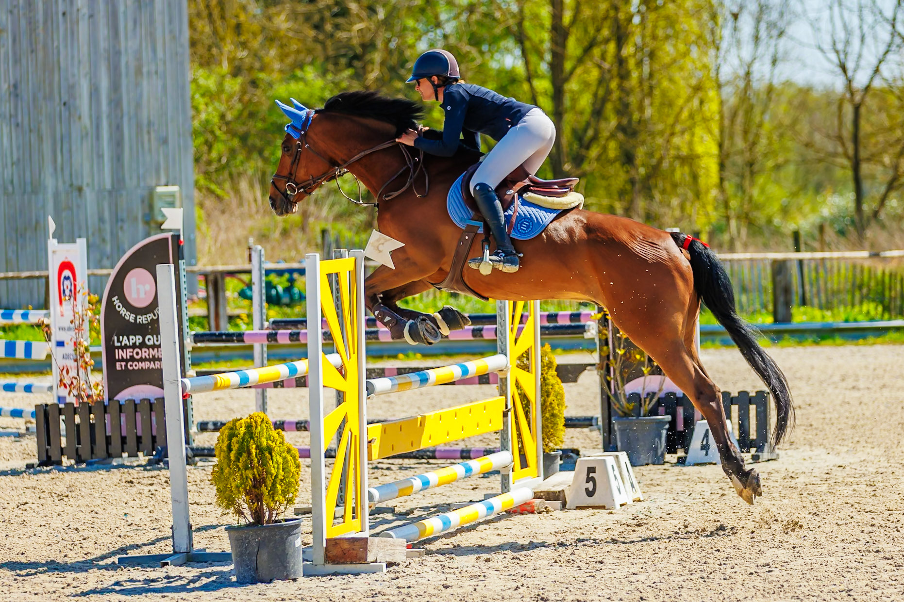 CSO Haras de Monthomé 15